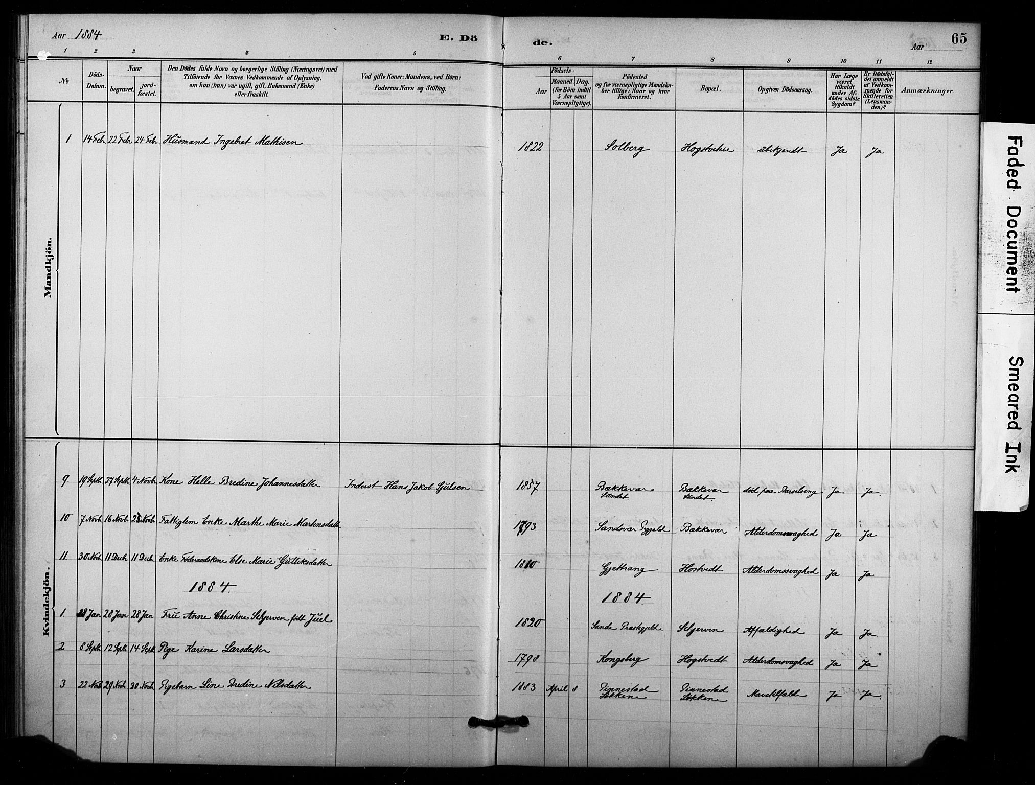 Lardal kirkebøker, AV/SAKO-A-350/F/Fc/L0001: Parish register (official) no. III 1, 1881-1906, p. 65