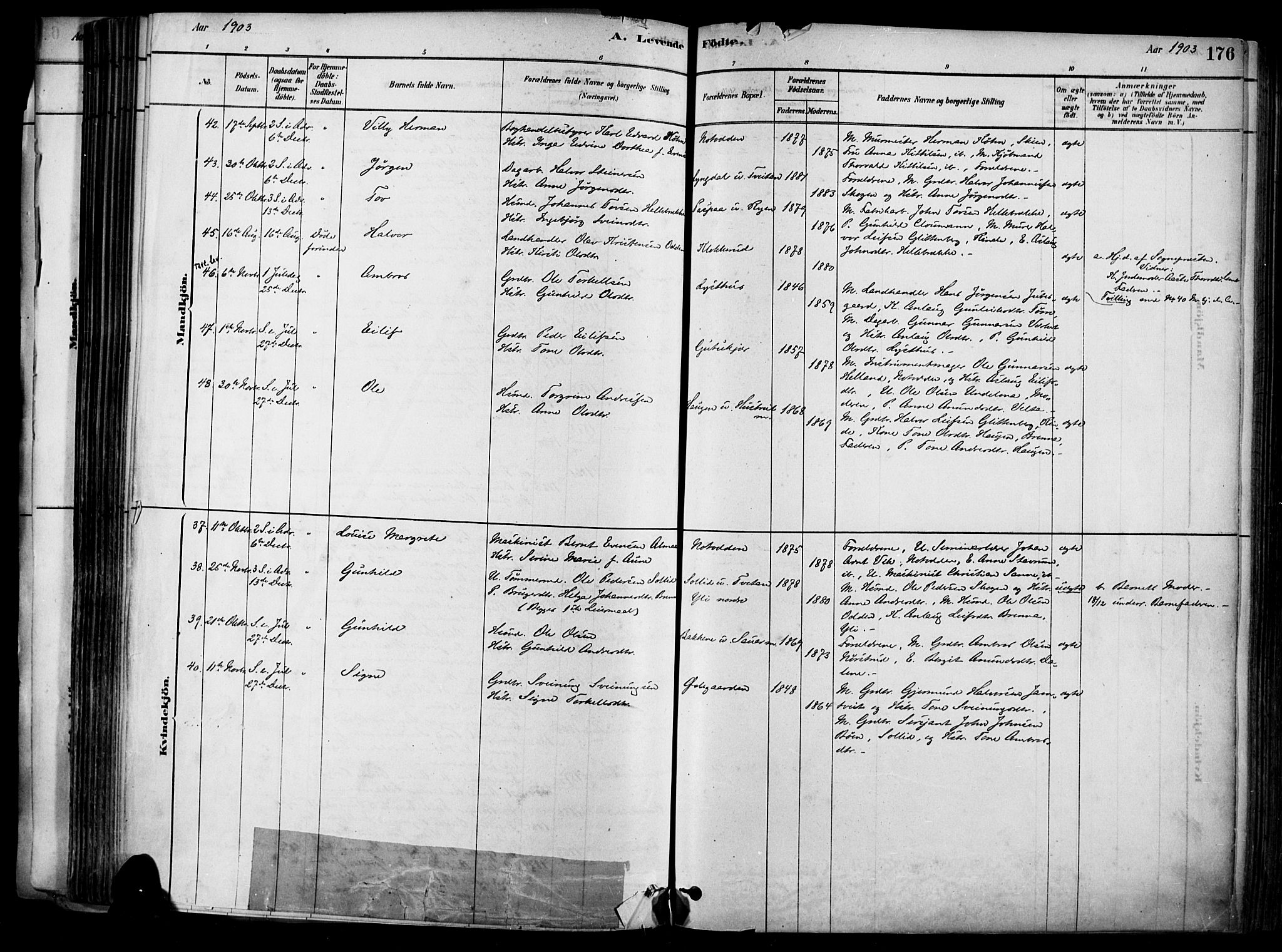 Heddal kirkebøker, SAKO/A-268/F/Fa/L0008: Parish register (official) no. I 8, 1878-1903, p. 176