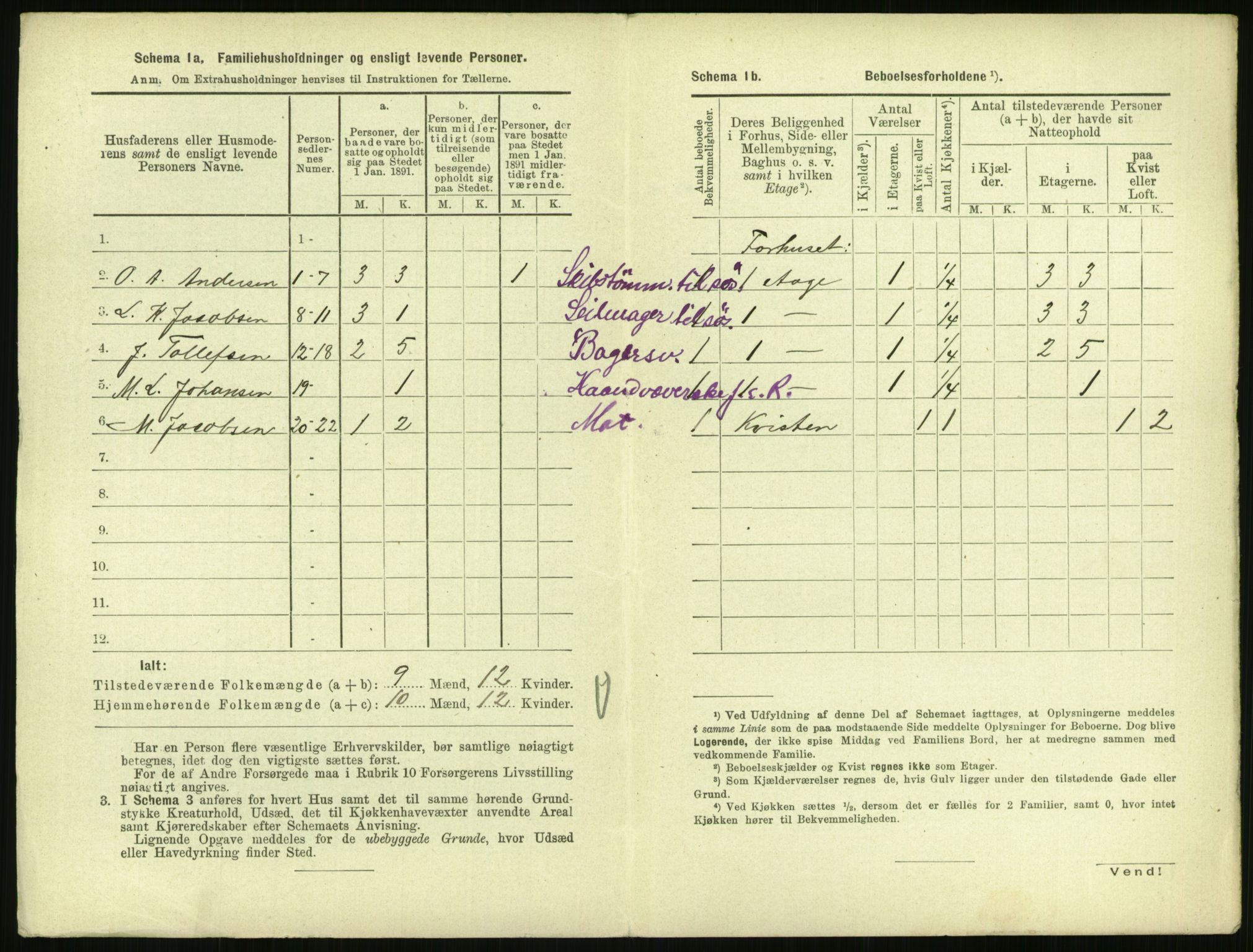 RA, 1891 census for 0707 Larvik, 1891, p. 1124