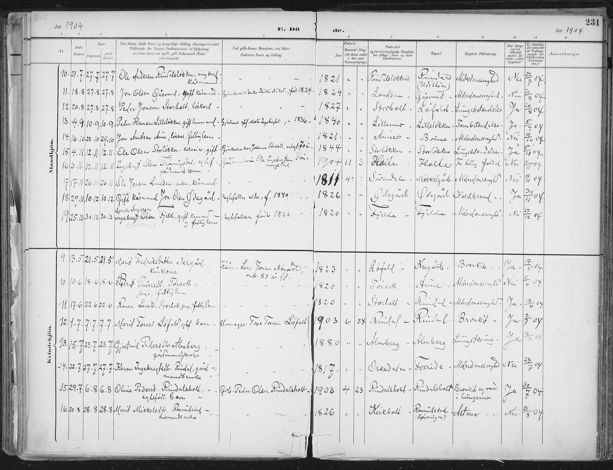 Ministerialprotokoller, klokkerbøker og fødselsregistre - Møre og Romsdal, AV/SAT-A-1454/598/L1072: Parish register (official) no. 598A06, 1896-1910, p. 231