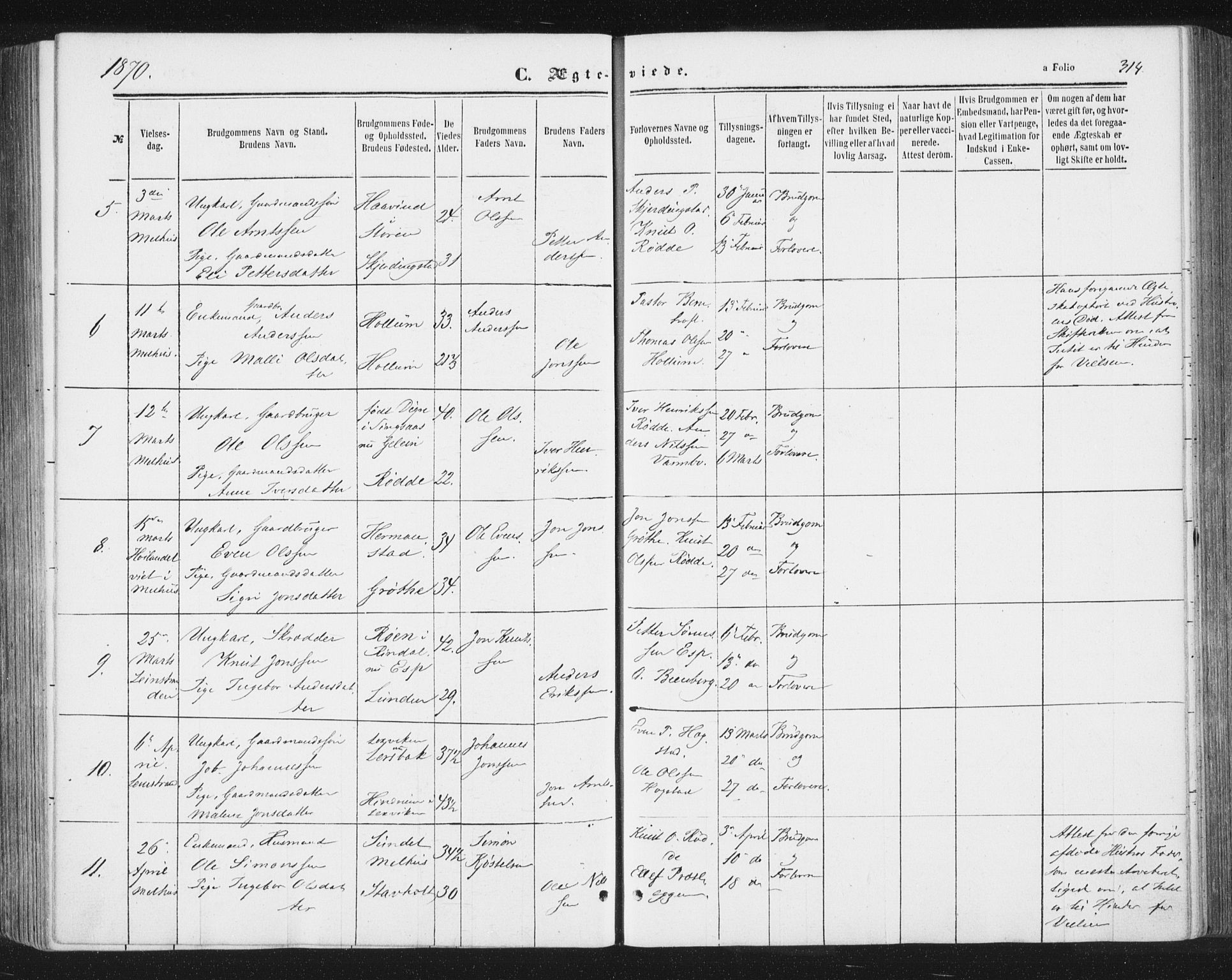 Ministerialprotokoller, klokkerbøker og fødselsregistre - Sør-Trøndelag, SAT/A-1456/691/L1077: Parish register (official) no. 691A09, 1862-1873, p. 314