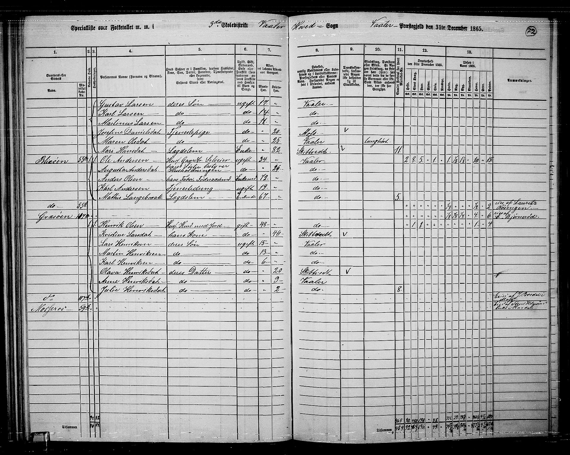 RA, 1865 census for Våler, 1865, p. 67