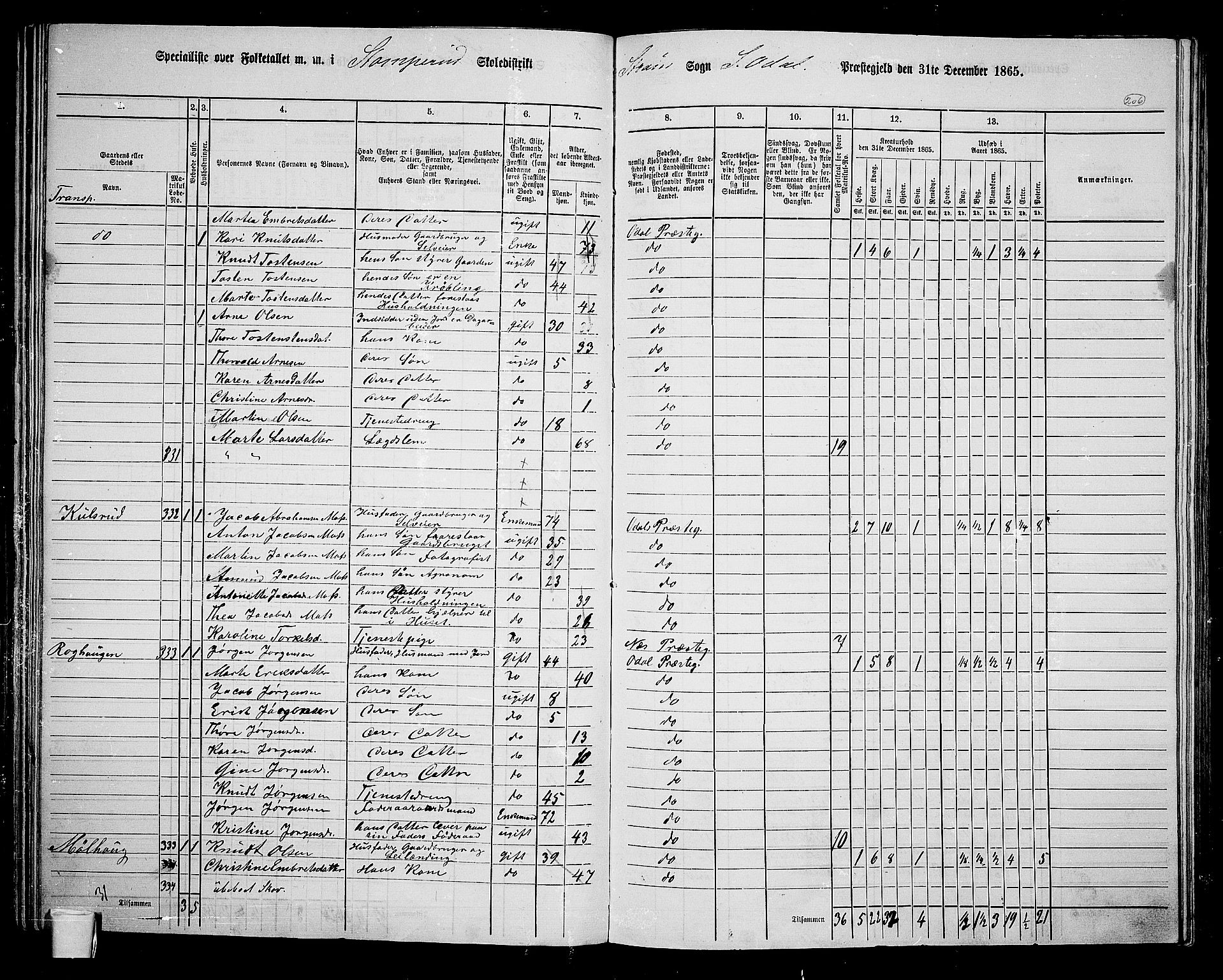 RA, 1865 census for Sør-Odal, 1865, p. 181