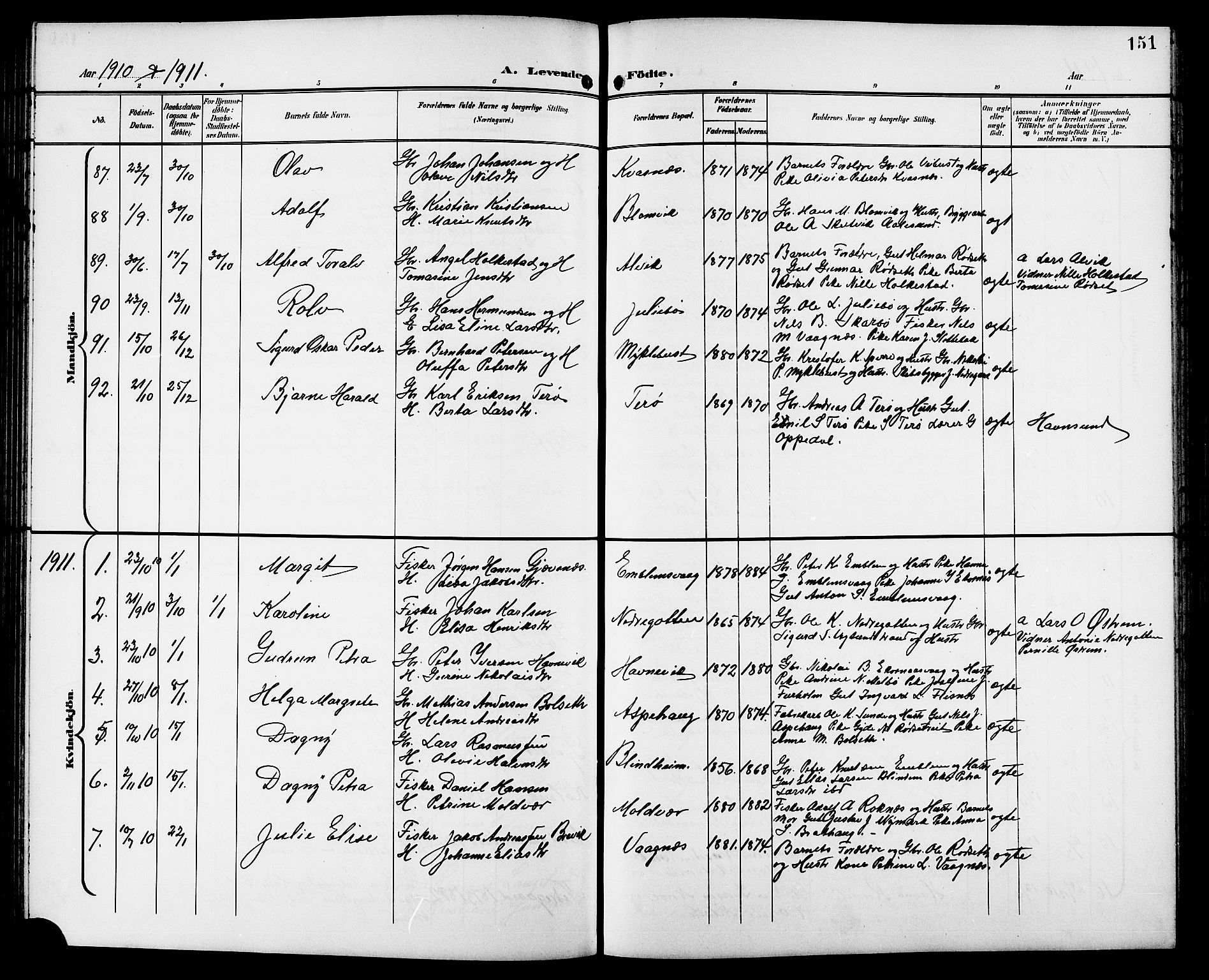 Ministerialprotokoller, klokkerbøker og fødselsregistre - Møre og Romsdal, AV/SAT-A-1454/528/L0432: Parish register (copy) no. 528C13, 1898-1918, p. 151
