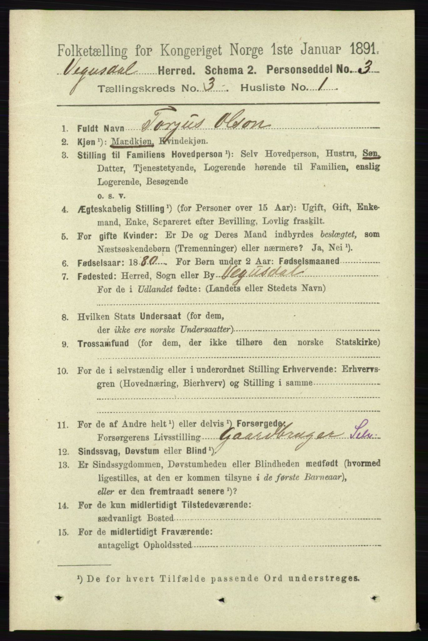 RA, 1891 census for 0934 Vegusdal, 1891, p. 555