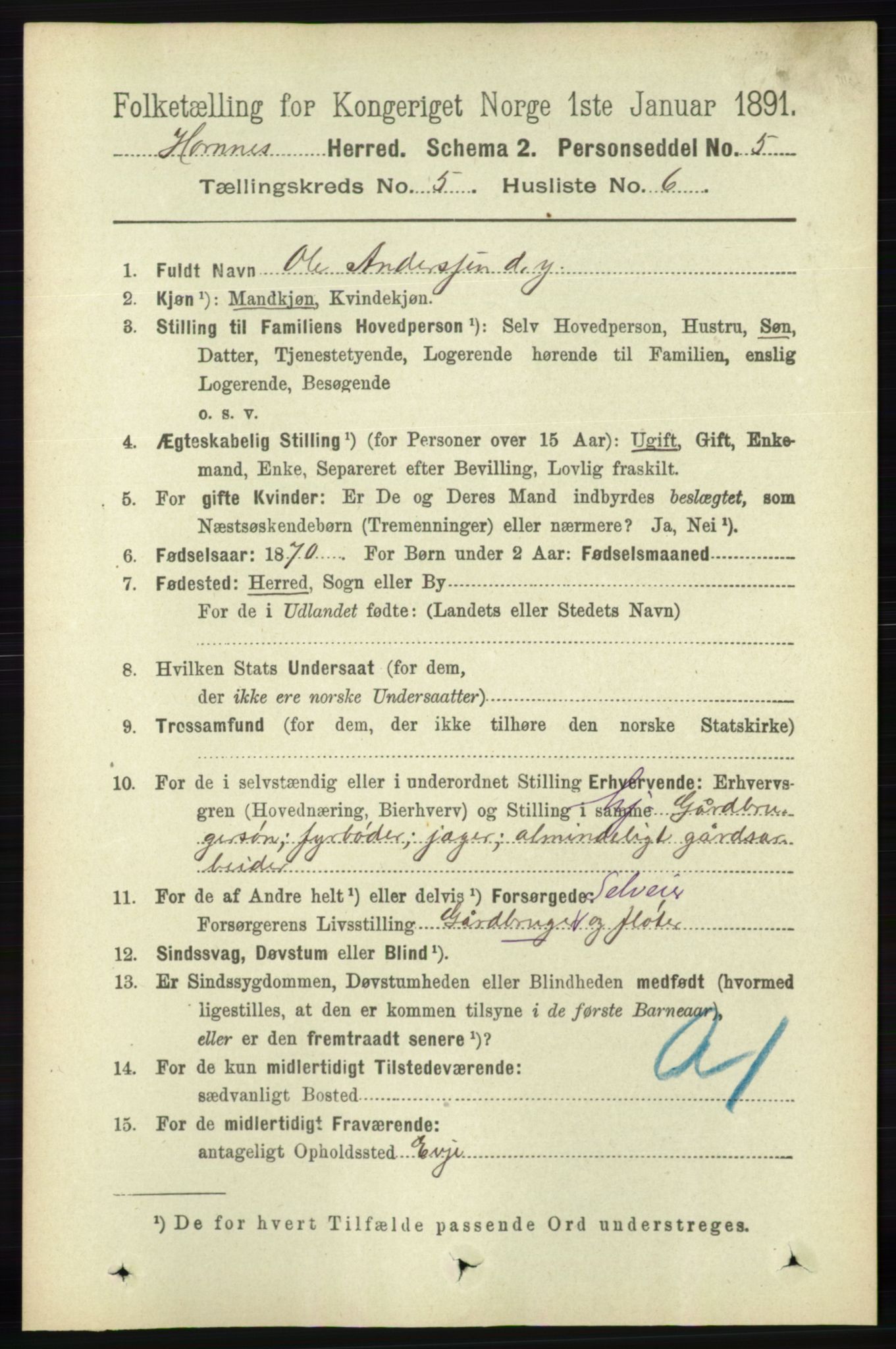 RA, 1891 census for 0936 Hornnes, 1891, p. 1392