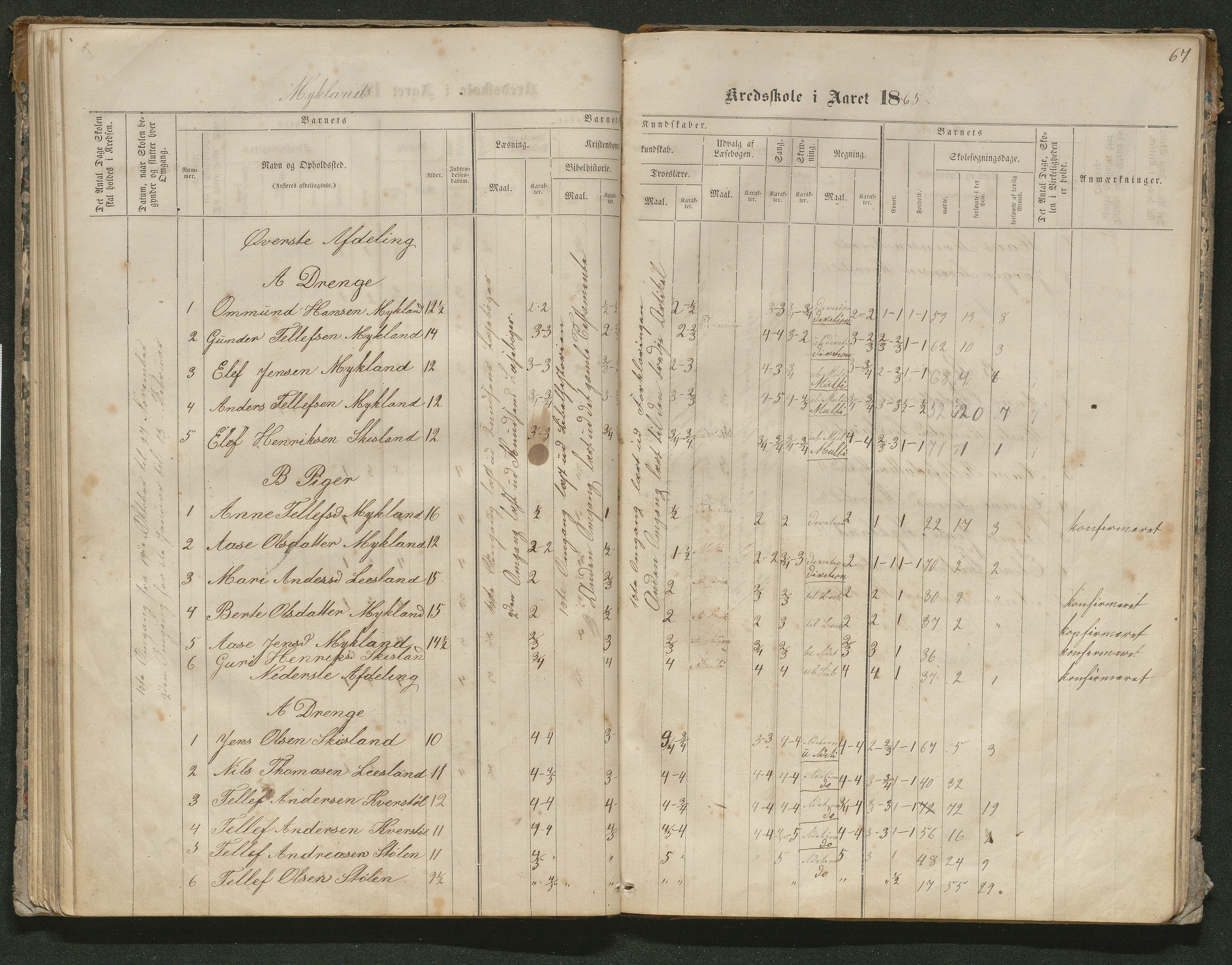 Iveland kommune, De enkelte kretsene/Skolene, AAKS/KA0935-550/A_10/L0005: Skoleprotokoll for Frøyså og Mykland krets, 1864-1881, p. 67