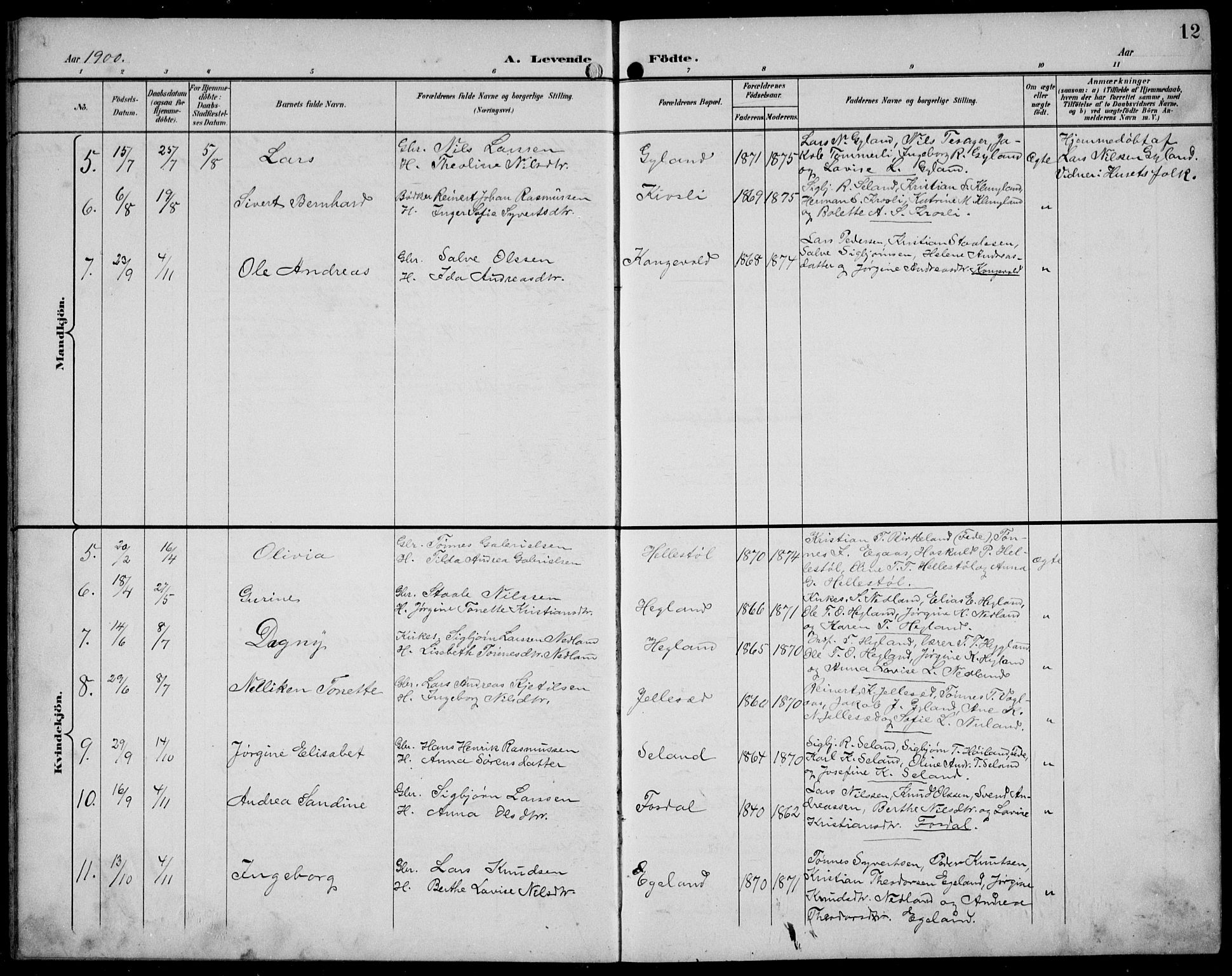 Bakke sokneprestkontor, AV/SAK-1111-0002/F/Fb/Fbb/L0004: Parish register (copy) no. B 4, 1896-1927, p. 12