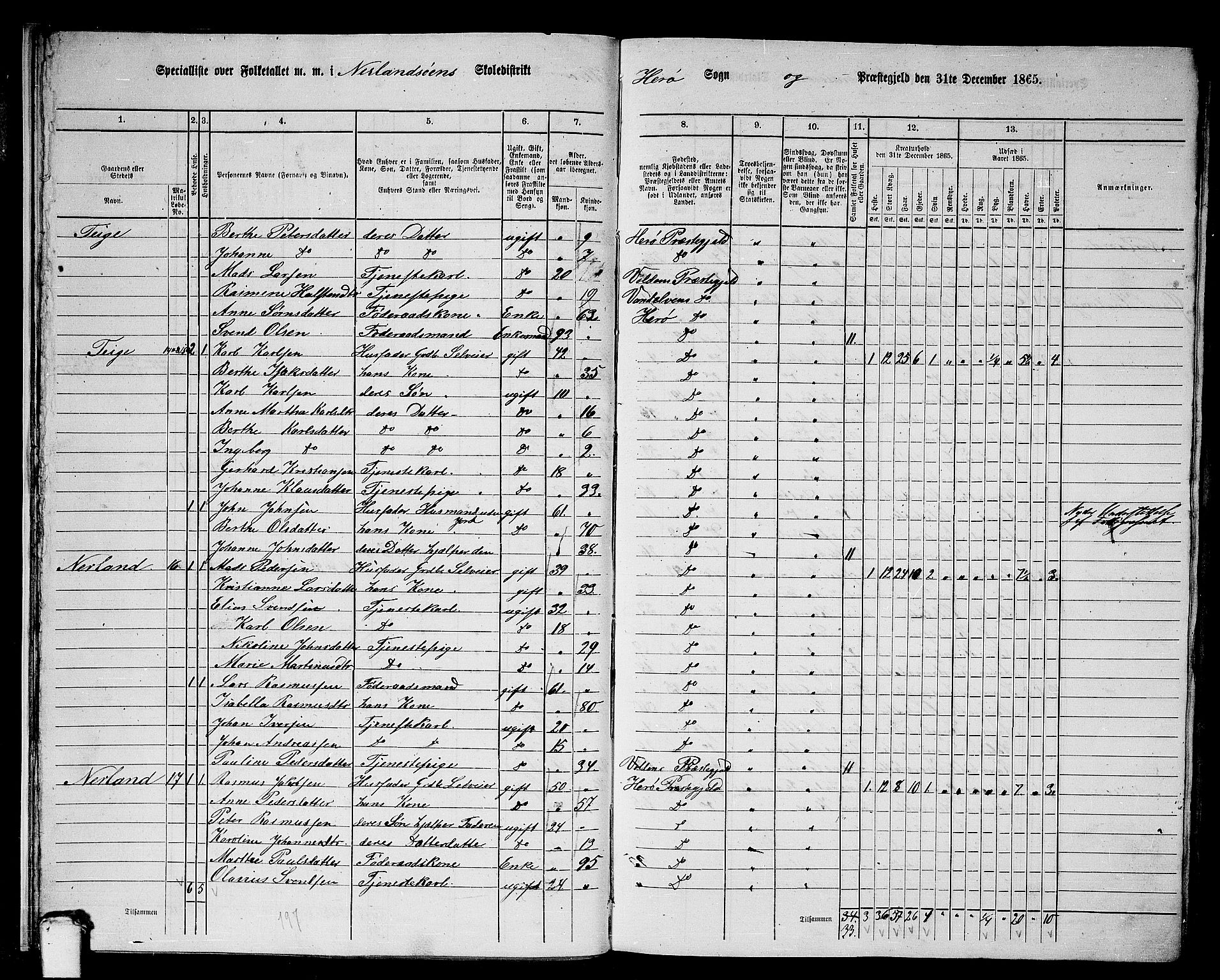 RA, 1865 census for Herøy, 1865, p. 20