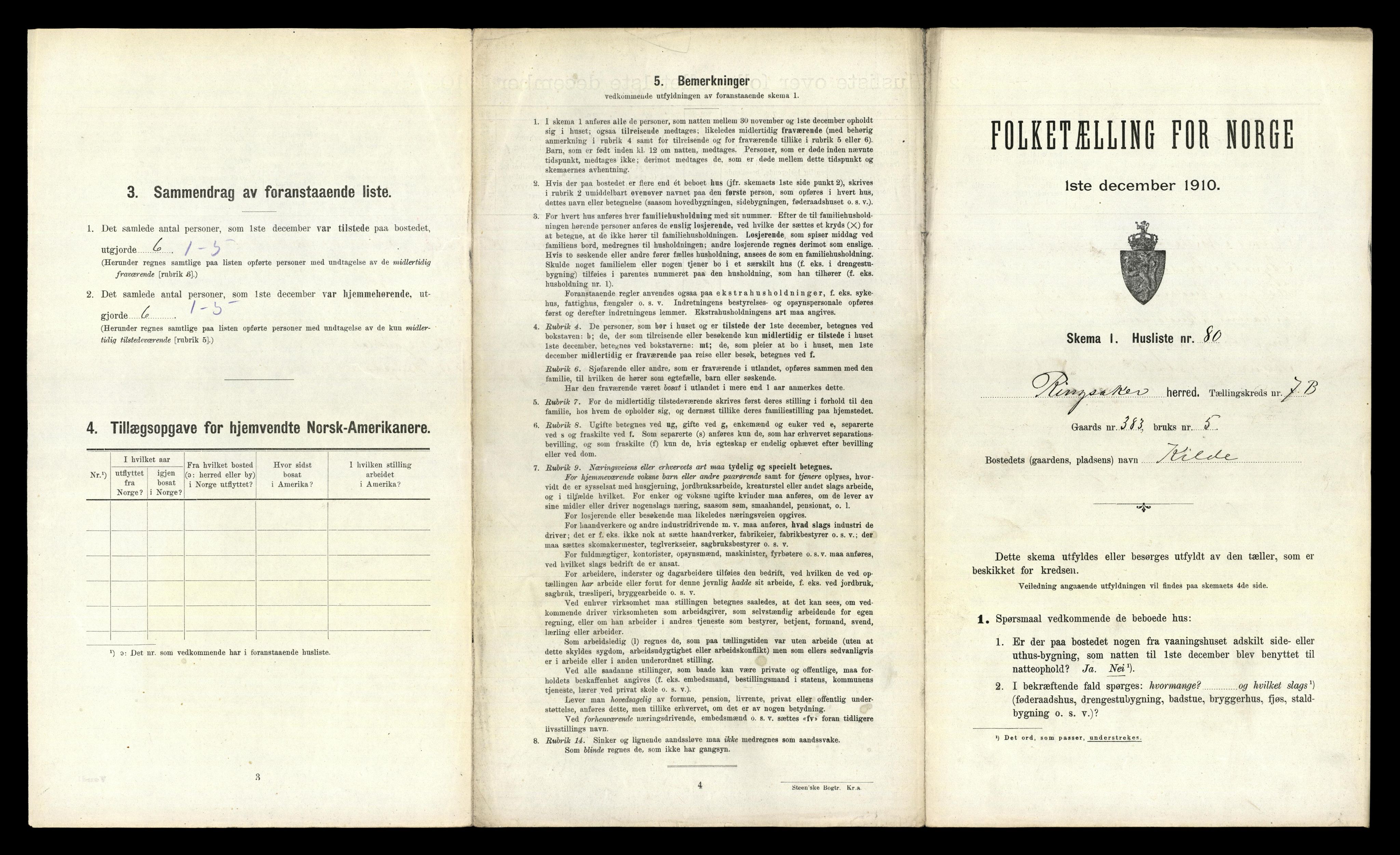 RA, 1910 census for Ringsaker, 1910, p. 1249