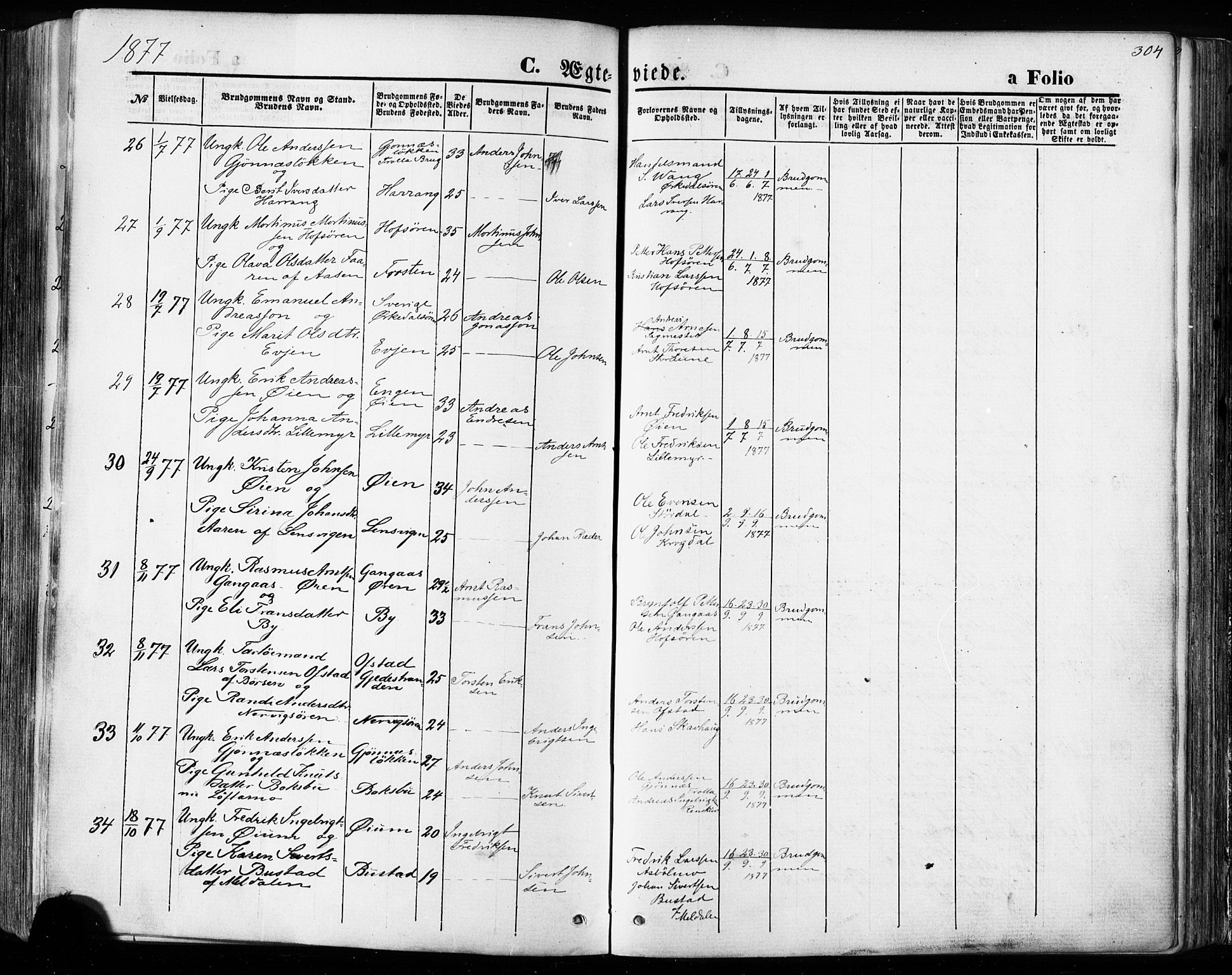 Ministerialprotokoller, klokkerbøker og fødselsregistre - Sør-Trøndelag, AV/SAT-A-1456/668/L0807: Parish register (official) no. 668A07, 1870-1880, p. 304