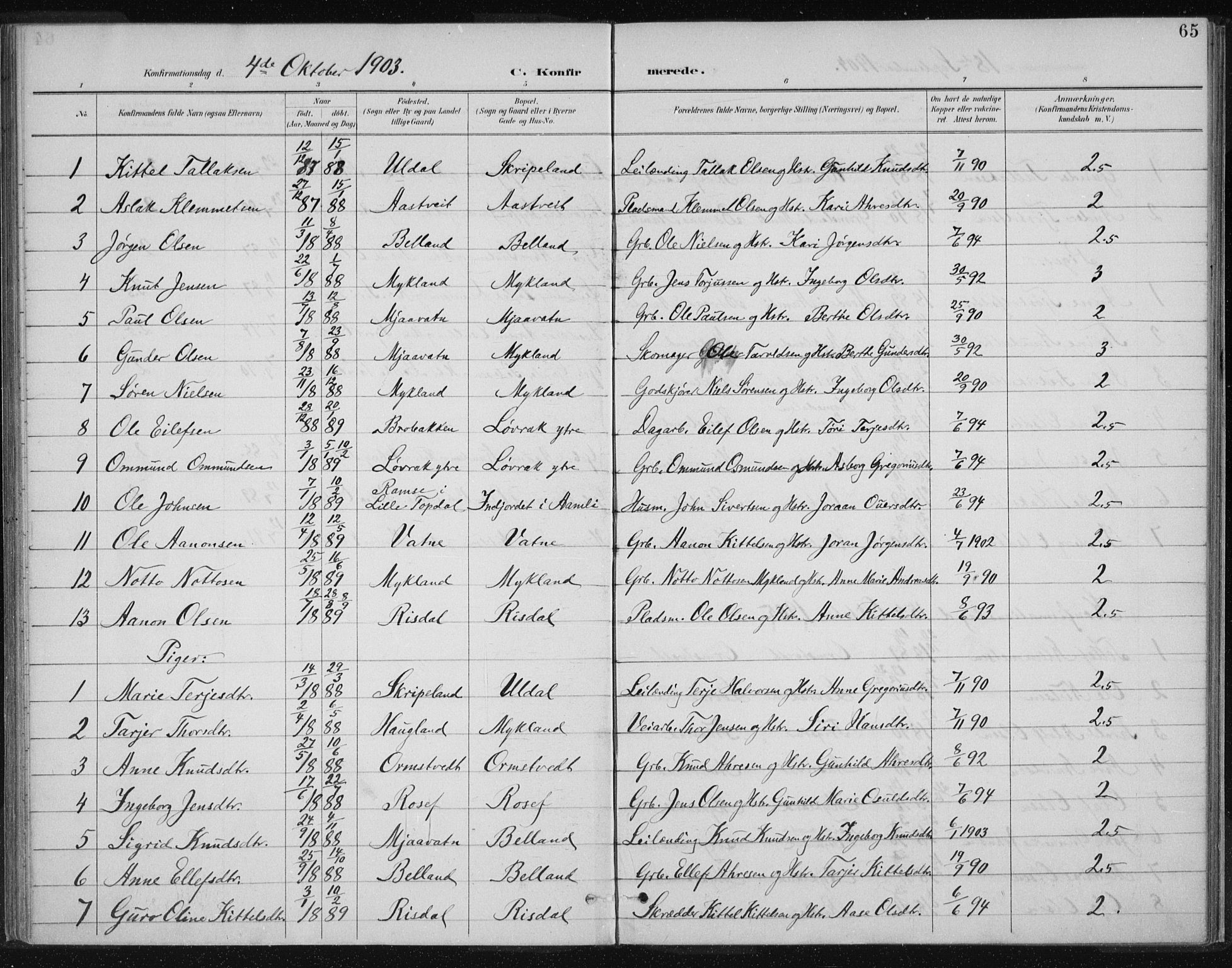 Herefoss sokneprestkontor, AV/SAK-1111-0019/F/Fa/Fac/L0002: Parish register (official) no. A 2, 1887-1915, p. 65