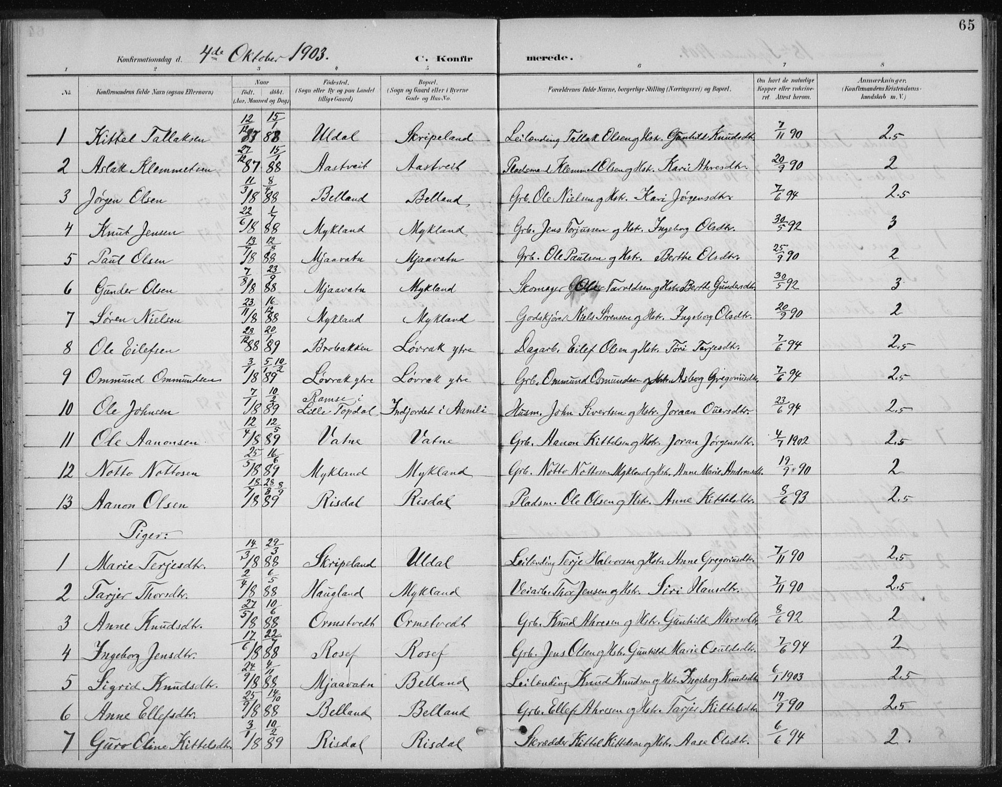 Herefoss sokneprestkontor, SAK/1111-0019/F/Fa/Fac/L0002: Parish register (official) no. A 2, 1887-1915, p. 65