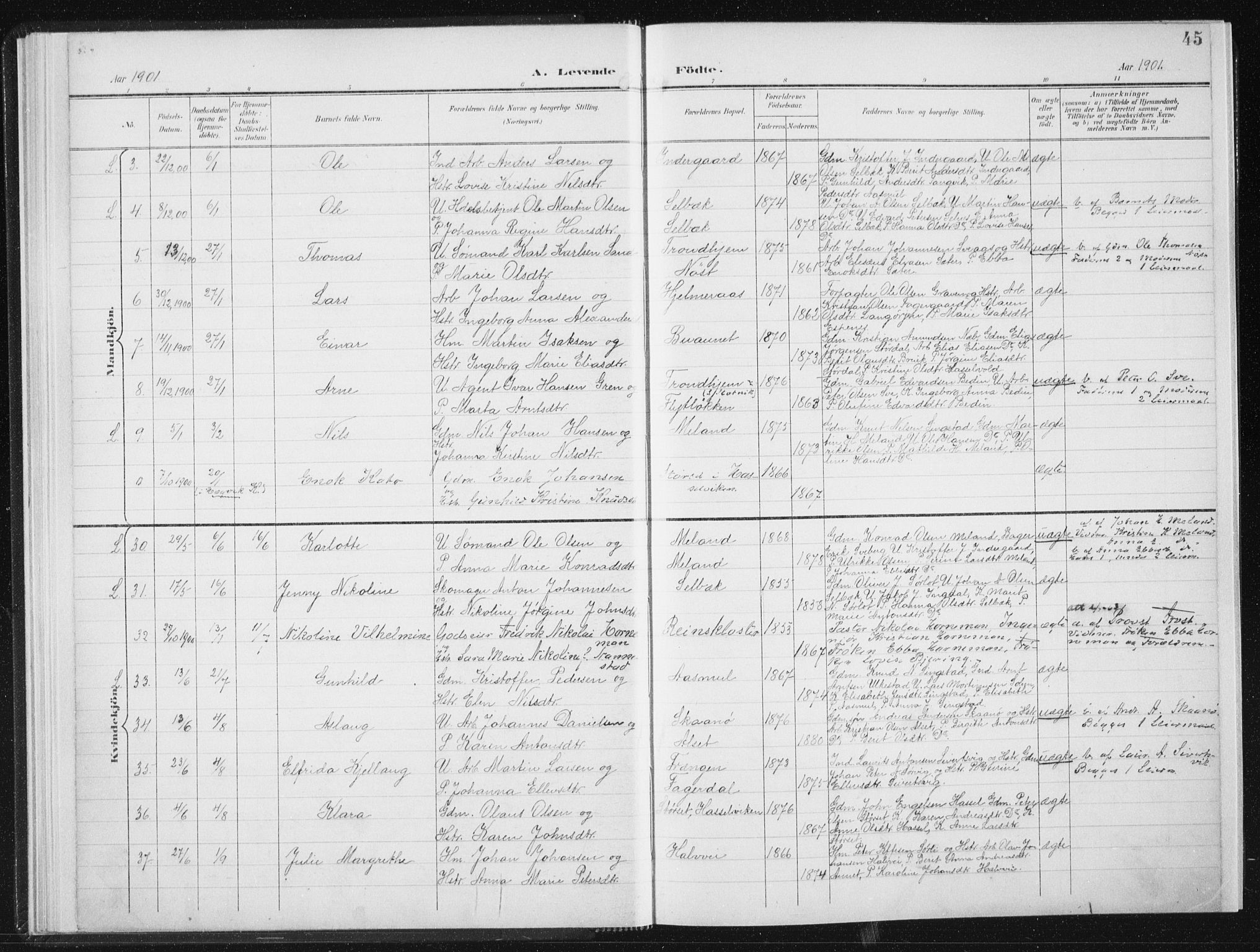 Ministerialprotokoller, klokkerbøker og fødselsregistre - Sør-Trøndelag, AV/SAT-A-1456/647/L0635: Parish register (official) no. 647A02, 1896-1911, p. 45