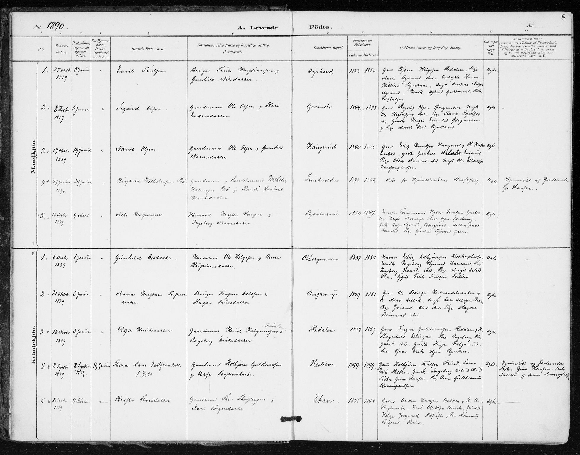 Krødsherad kirkebøker, SAKO/A-19/F/Fa/L0006: Parish register (official) no. 6, 1889-1899, p. 8