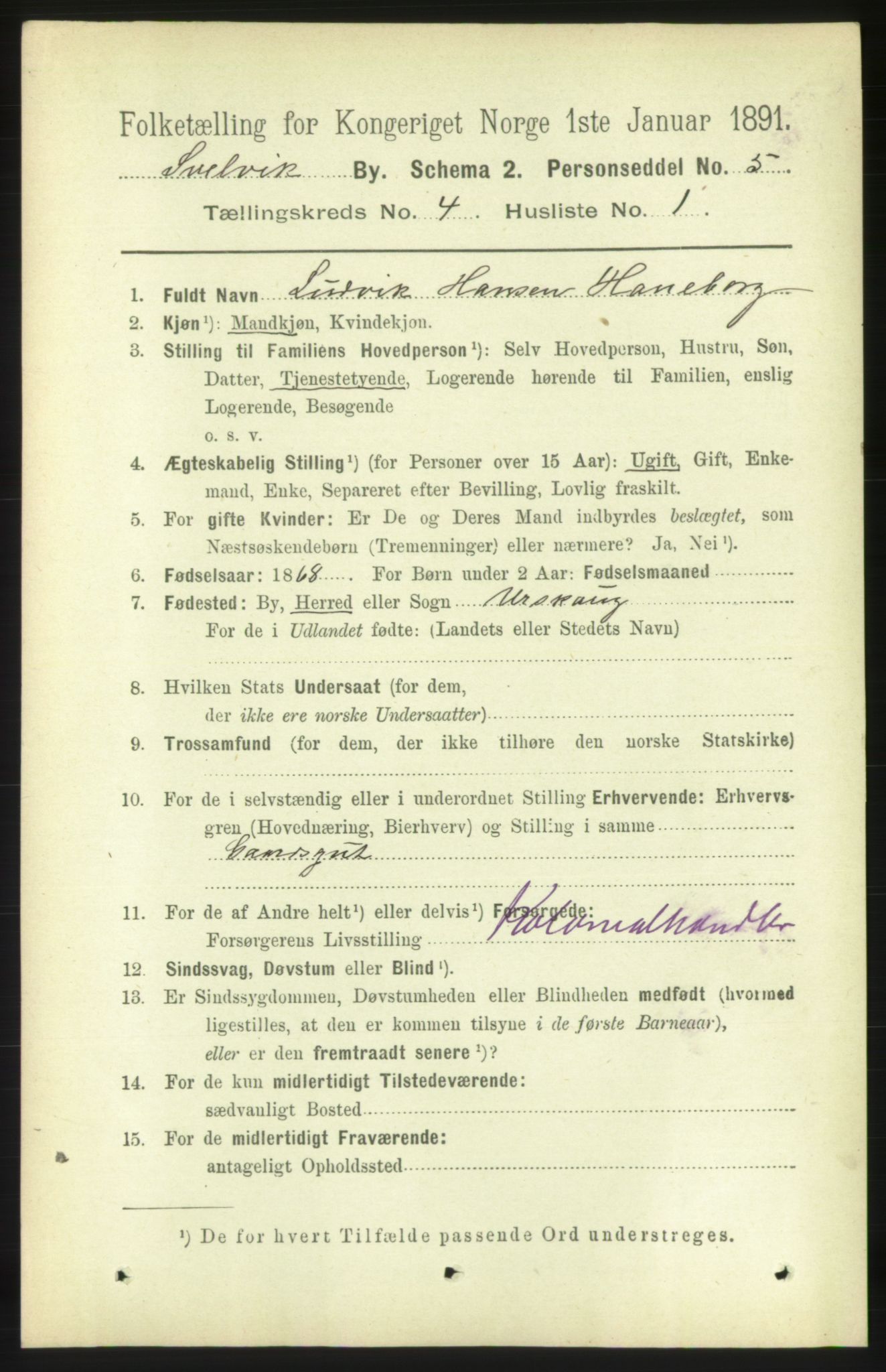 RA, 1891 census for 0701 Svelvik, 1891, p. 1606