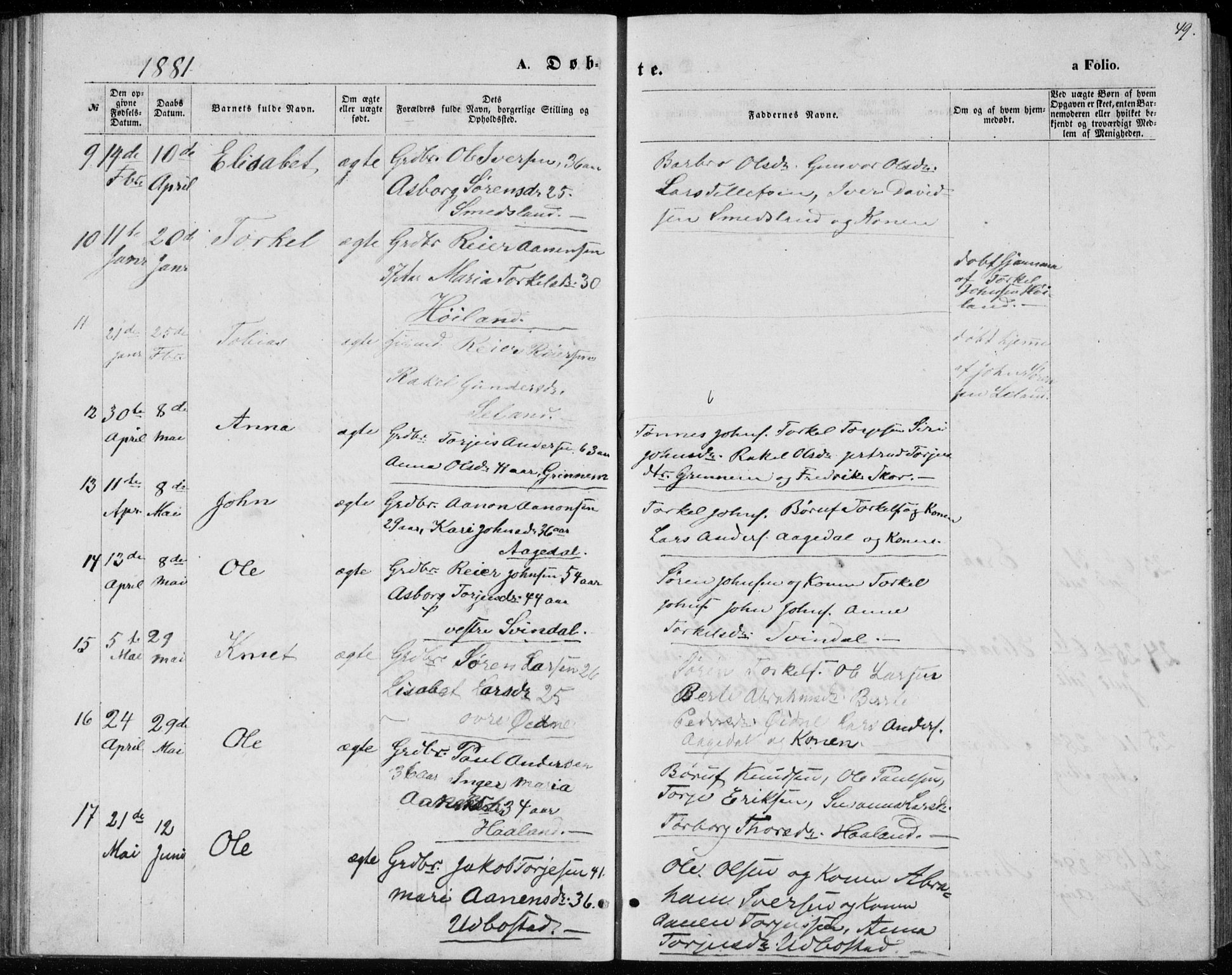 Bjelland sokneprestkontor, AV/SAK-1111-0005/F/Fb/Fbc/L0002: Parish register (copy) no. B 2, 1867-1887, p. 49