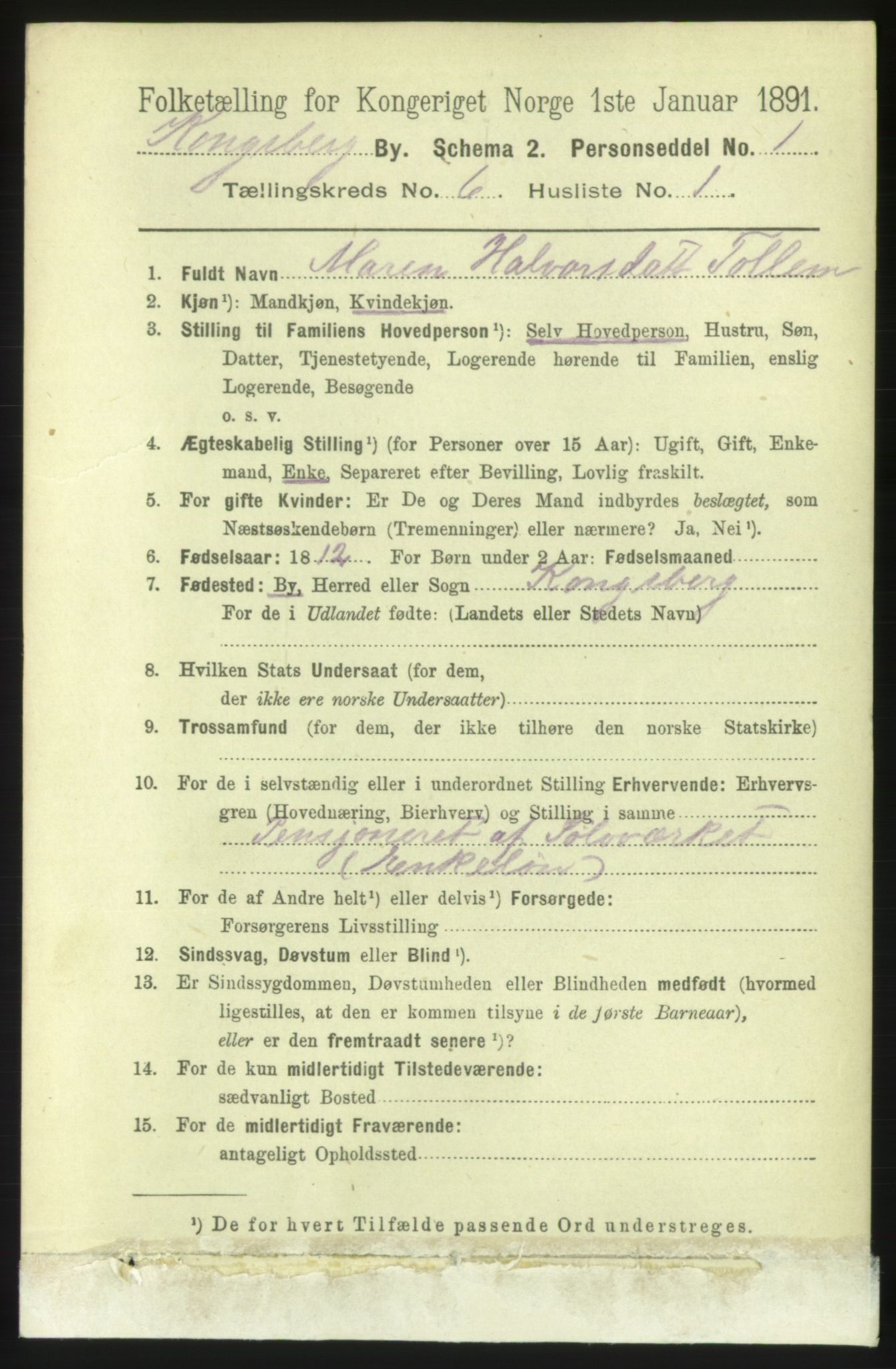 RA, 1891 census for 0604 Kongsberg, 1891, p. 4844