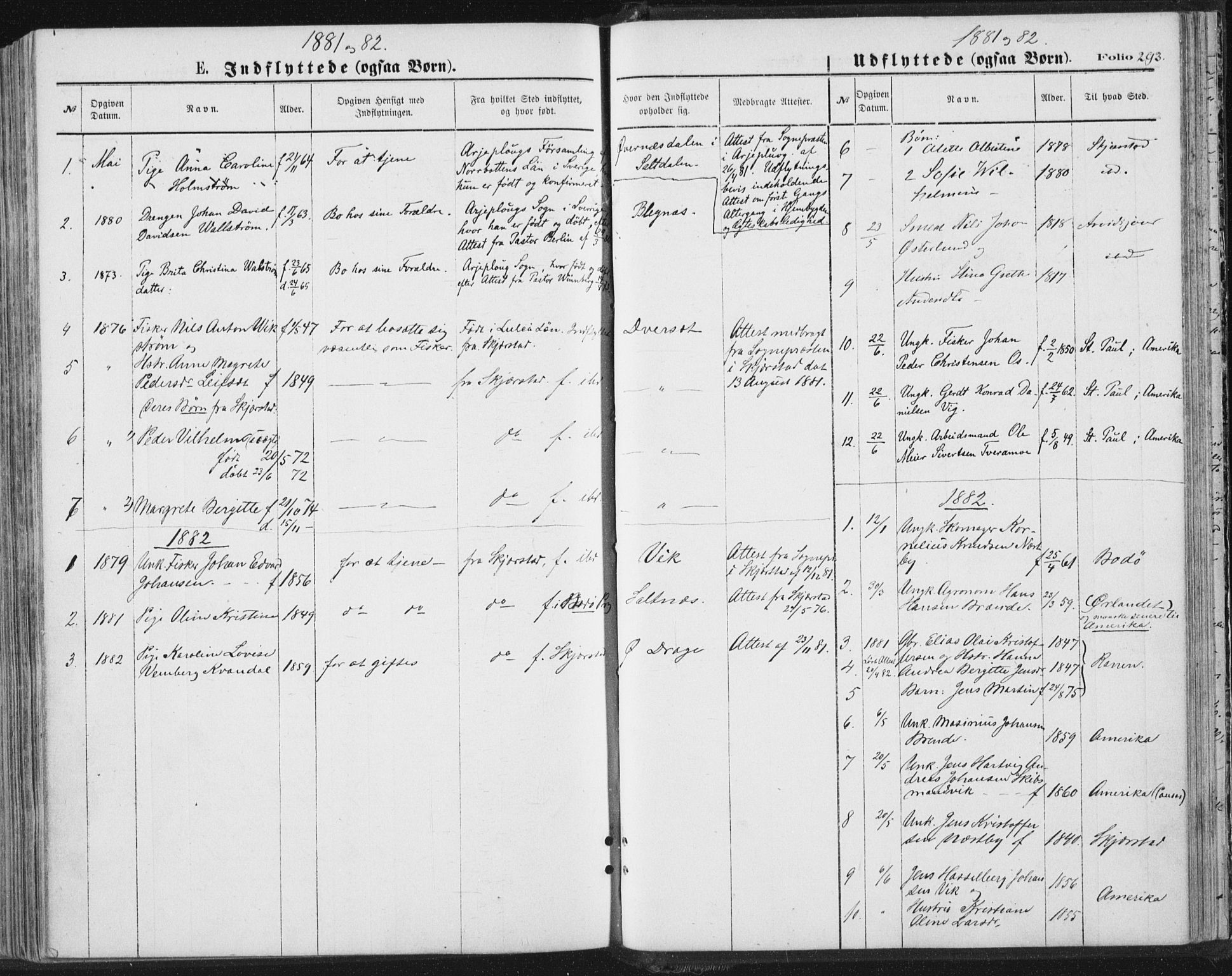 Ministerialprotokoller, klokkerbøker og fødselsregistre - Nordland, SAT/A-1459/847/L0668: Parish register (official) no. 847A08, 1872-1886, p. 293