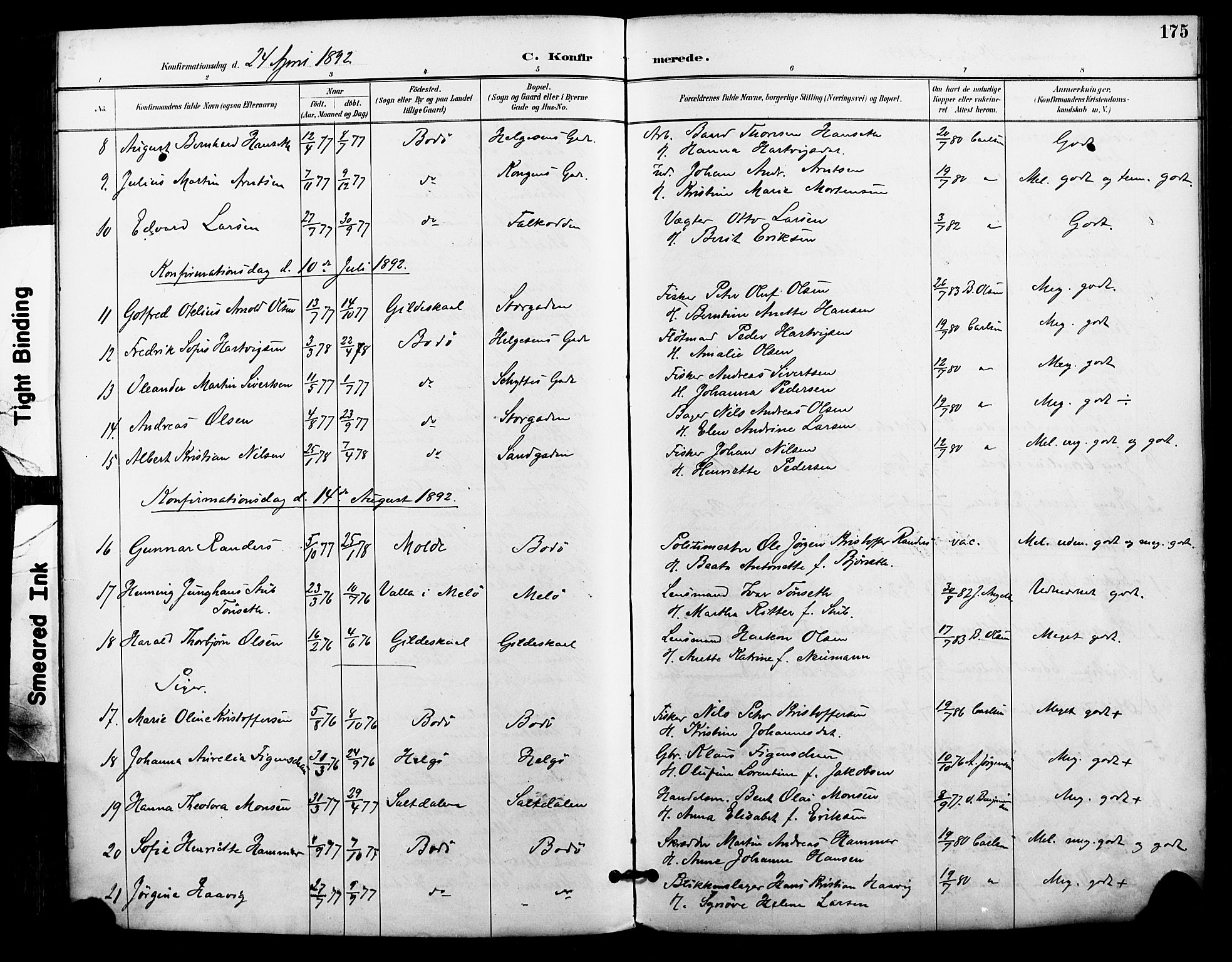 Ministerialprotokoller, klokkerbøker og fødselsregistre - Nordland, SAT/A-1459/801/L0010: Parish register (official) no. 801A10, 1888-1899, p. 175