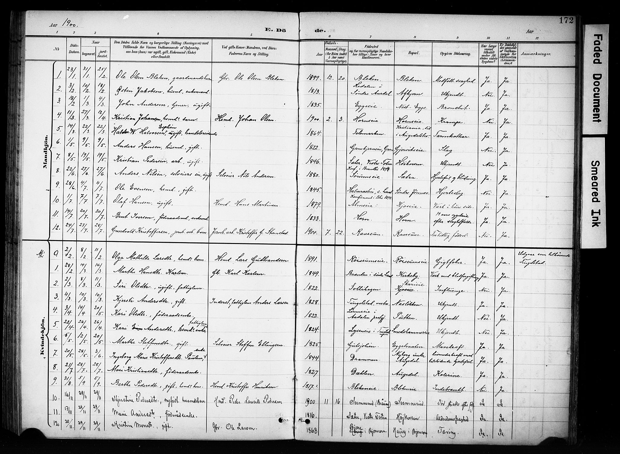 Brandbu prestekontor, SAH/PREST-114/H/Ha/Haa/L0001: Parish register (official) no. 1, 1900-1912, p. 172