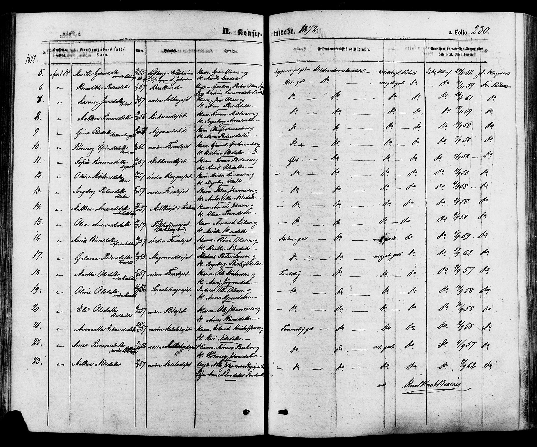 Gausdal prestekontor, SAH/PREST-090/H/Ha/Haa/L0010: Parish register (official) no. 10, 1867-1886, p. 230