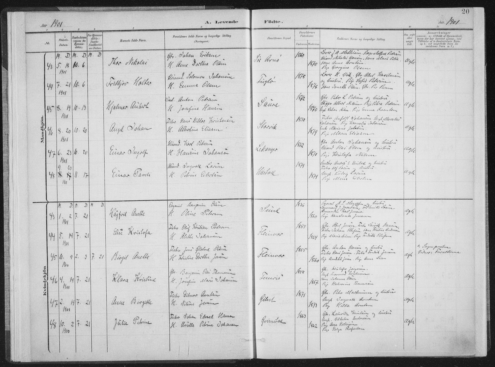 Ministerialprotokoller, klokkerbøker og fødselsregistre - Nordland, AV/SAT-A-1459/805/L0102: Parish register (official) no. 805A08I, 1900-1909, p. 20