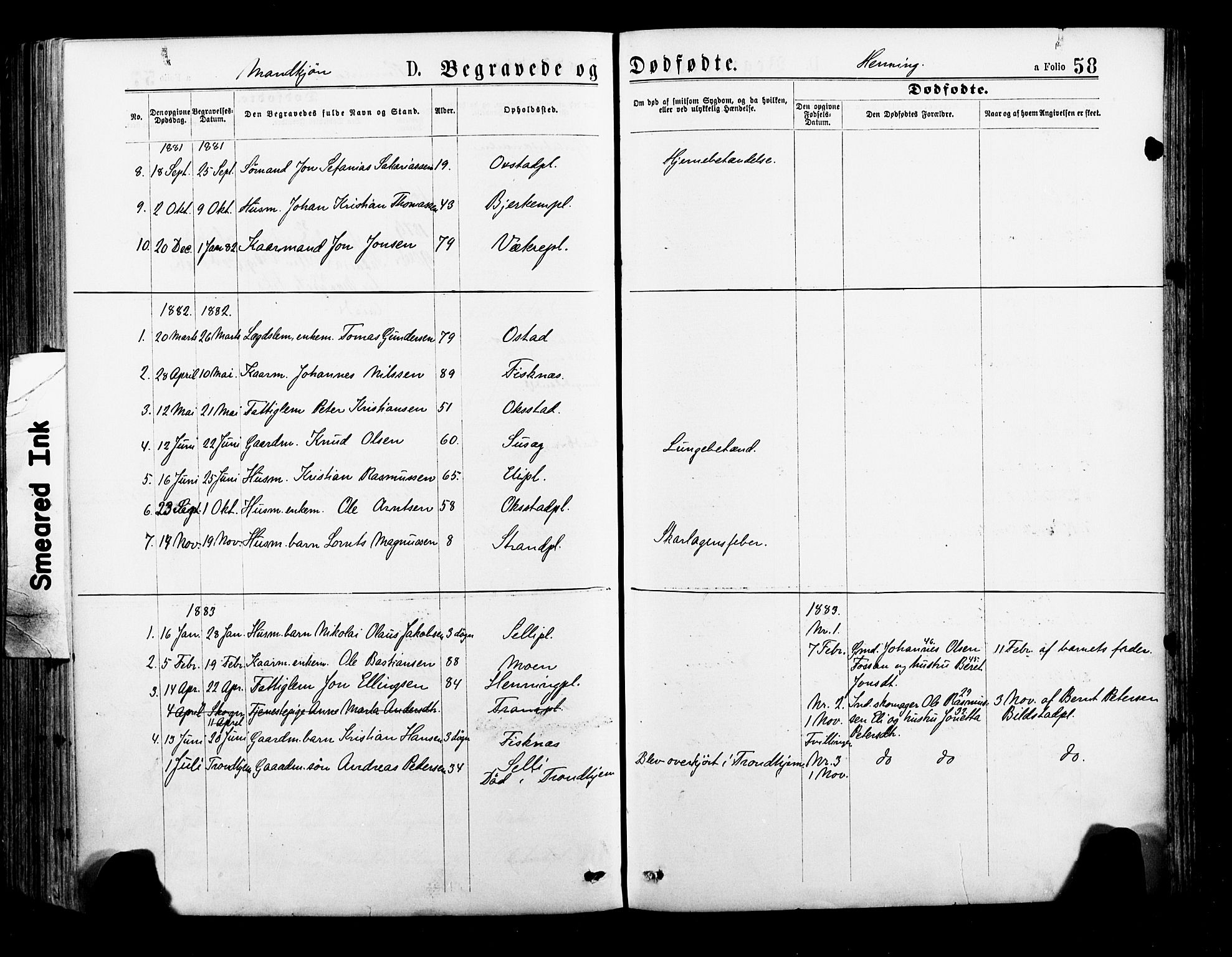 Ministerialprotokoller, klokkerbøker og fødselsregistre - Nord-Trøndelag, SAT/A-1458/735/L0348: Parish register (official) no. 735A09 /3, 1873-1883, p. 58