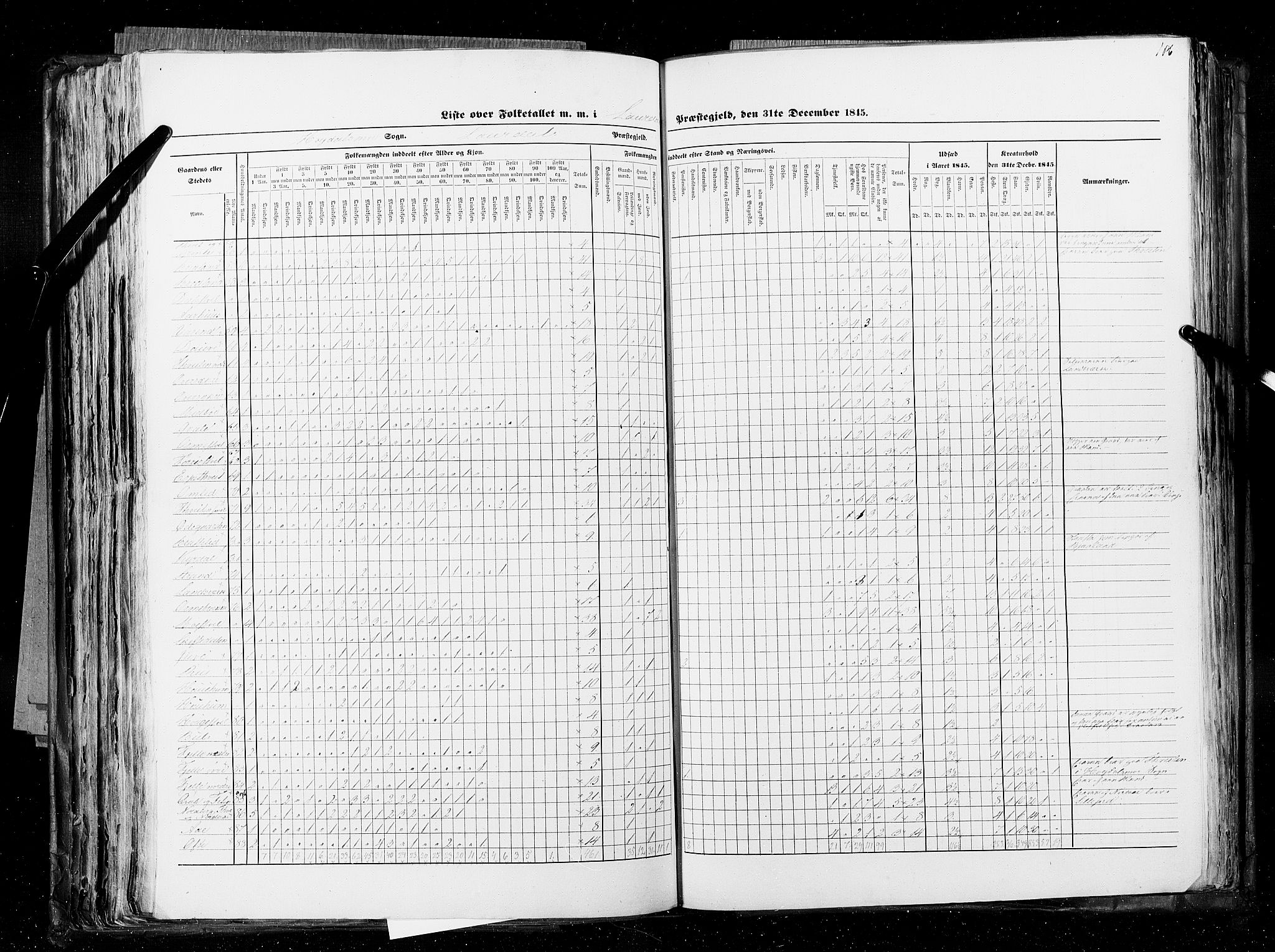 RA, Census 1845, vol. 5: Bratsberg amt og Nedenes og Råbyggelaget amt, 1845, p. 186