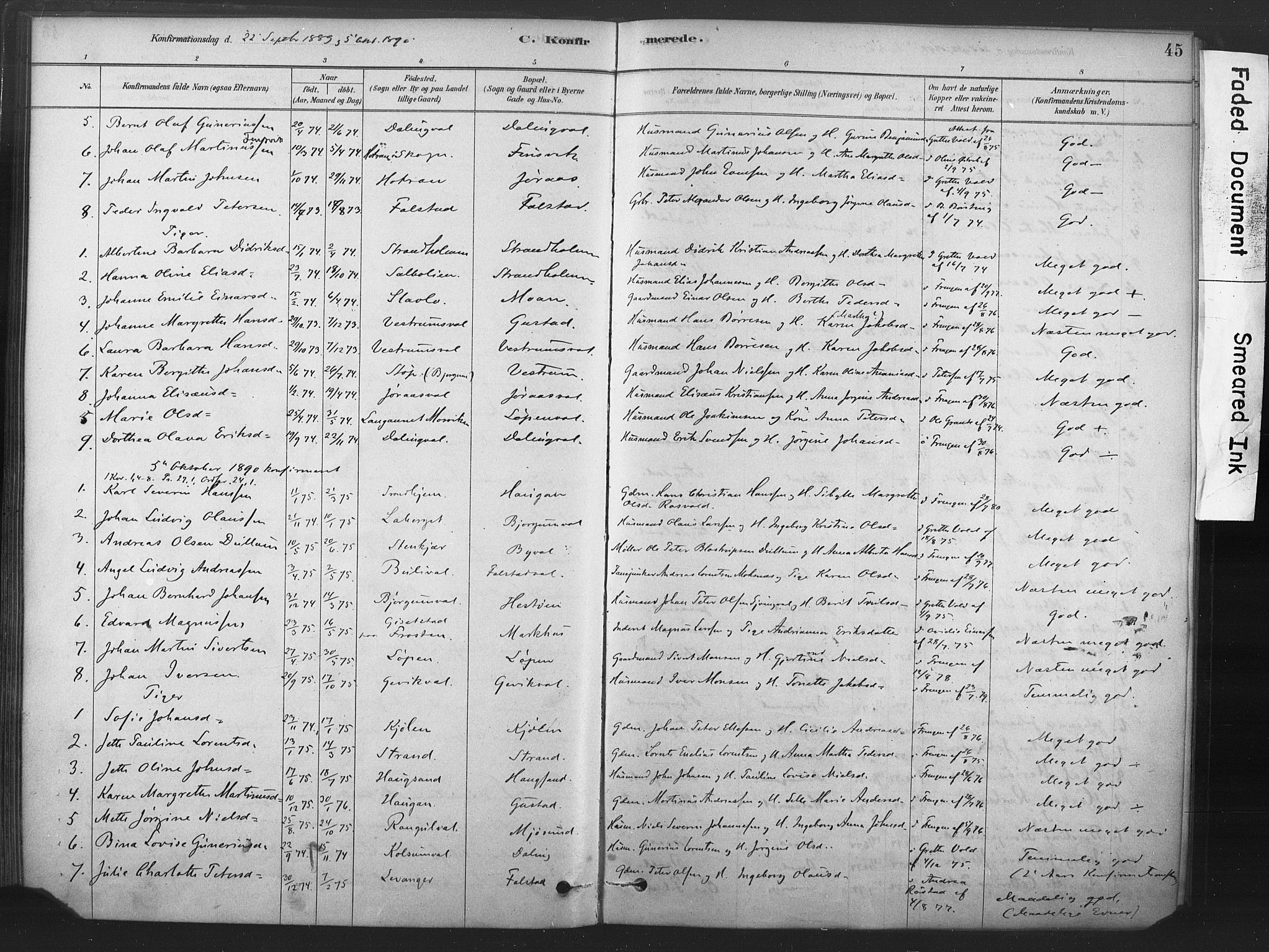 Ministerialprotokoller, klokkerbøker og fødselsregistre - Nord-Trøndelag, SAT/A-1458/719/L0178: Parish register (official) no. 719A01, 1878-1900, p. 45