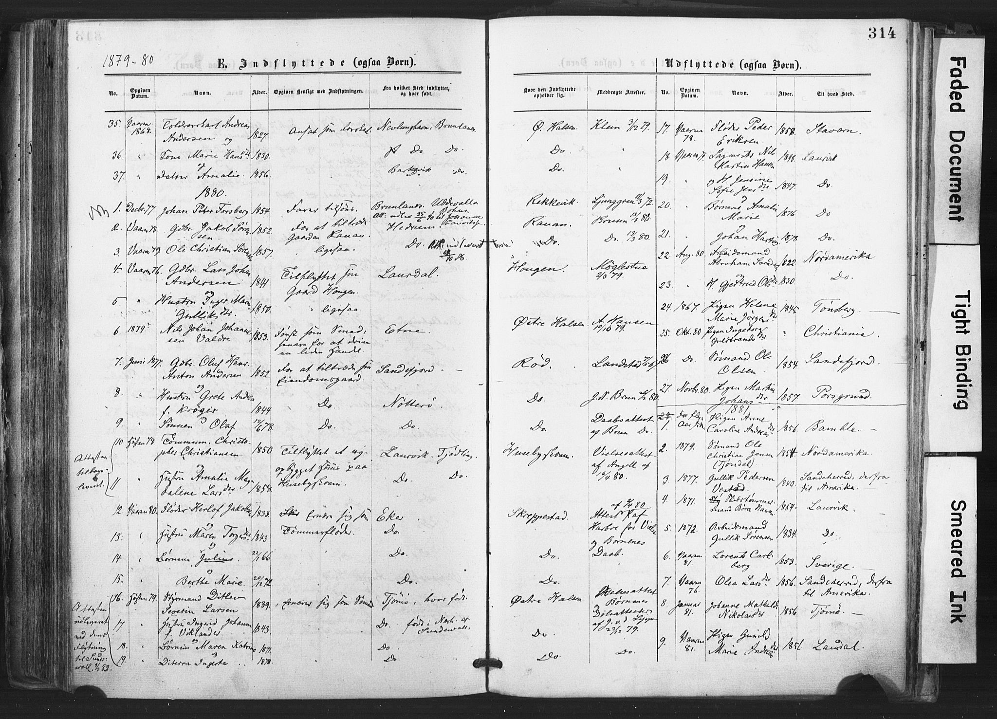 Tjølling kirkebøker, AV/SAKO-A-60/F/Fa/L0008: Parish register (official) no. 8, 1877-1886, p. 314