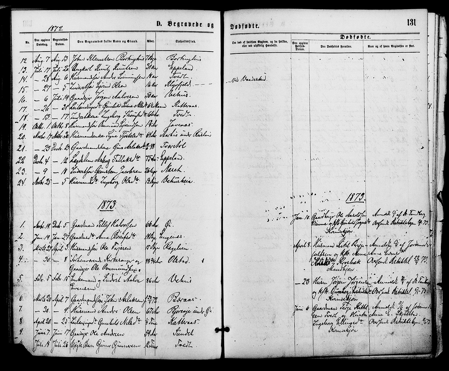 Åmli sokneprestkontor, SAK/1111-0050/F/Fa/Fac/L0009: Parish register (official) no. A 9 /1, 1869-1884, p. 131