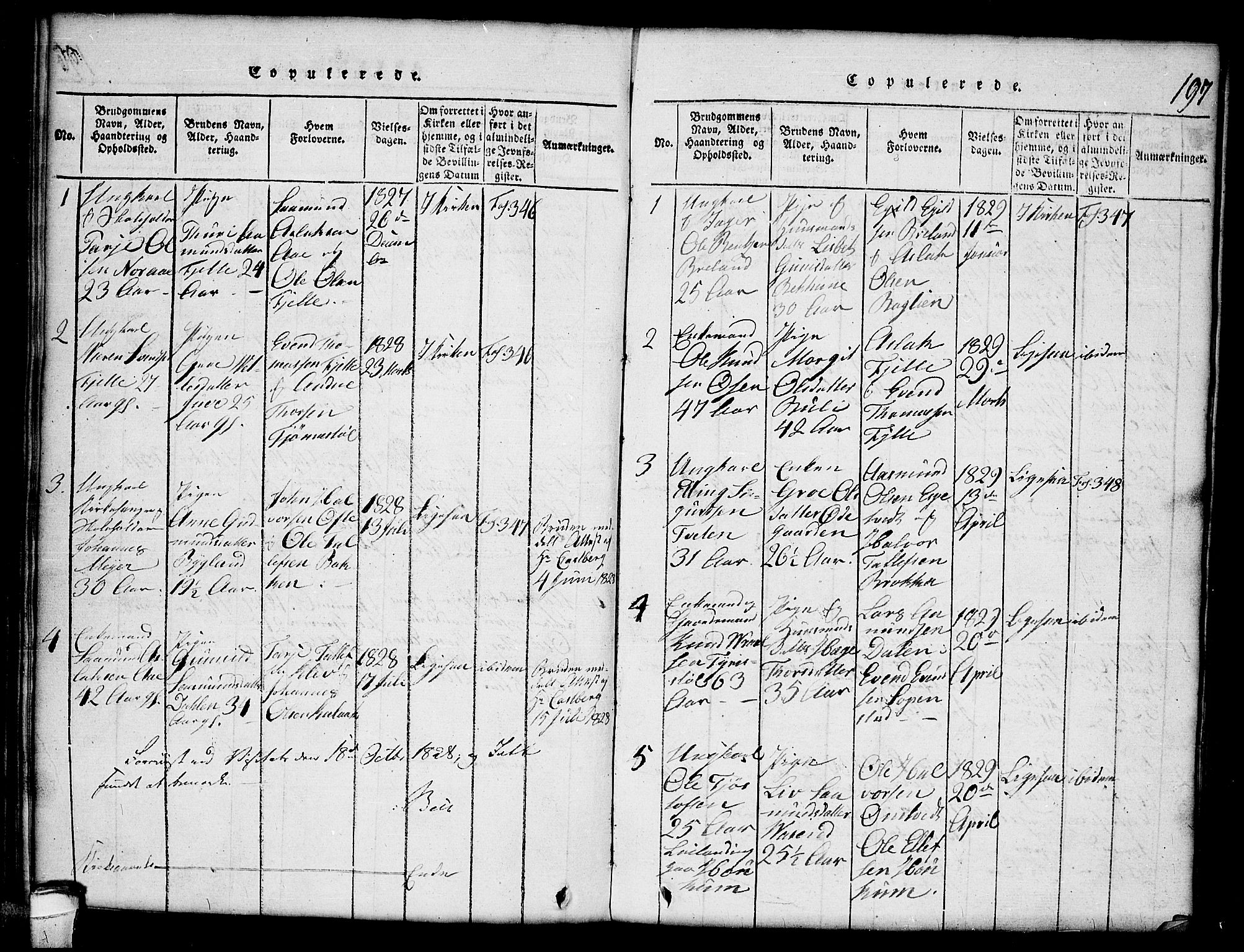 Lårdal kirkebøker, SAKO/A-284/G/Gc/L0001: Parish register (copy) no. III 1, 1815-1854, p. 197