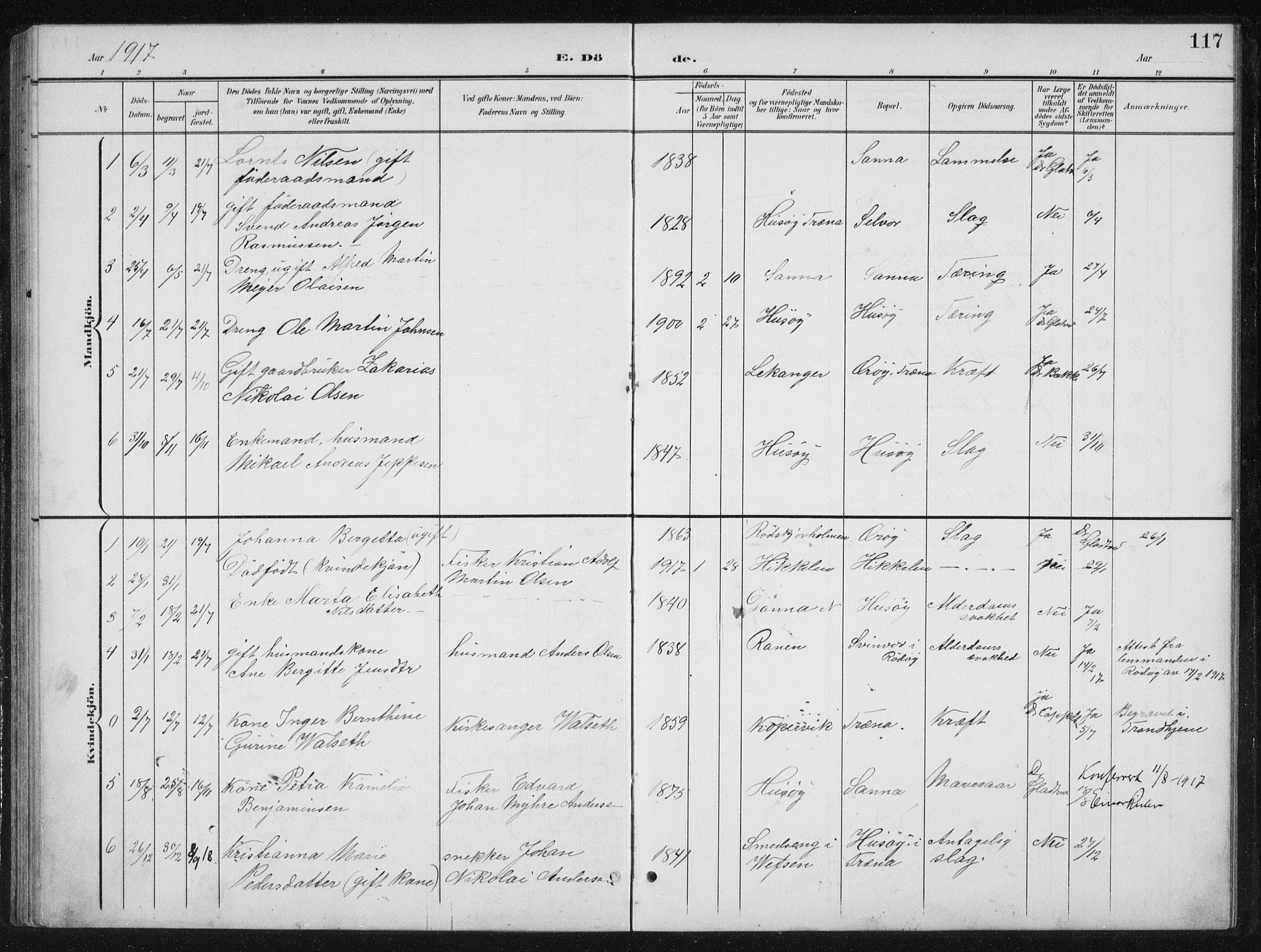 Ministerialprotokoller, klokkerbøker og fødselsregistre - Nordland, SAT/A-1459/840/L0583: Parish register (copy) no. 840C03, 1901-1933, p. 117
