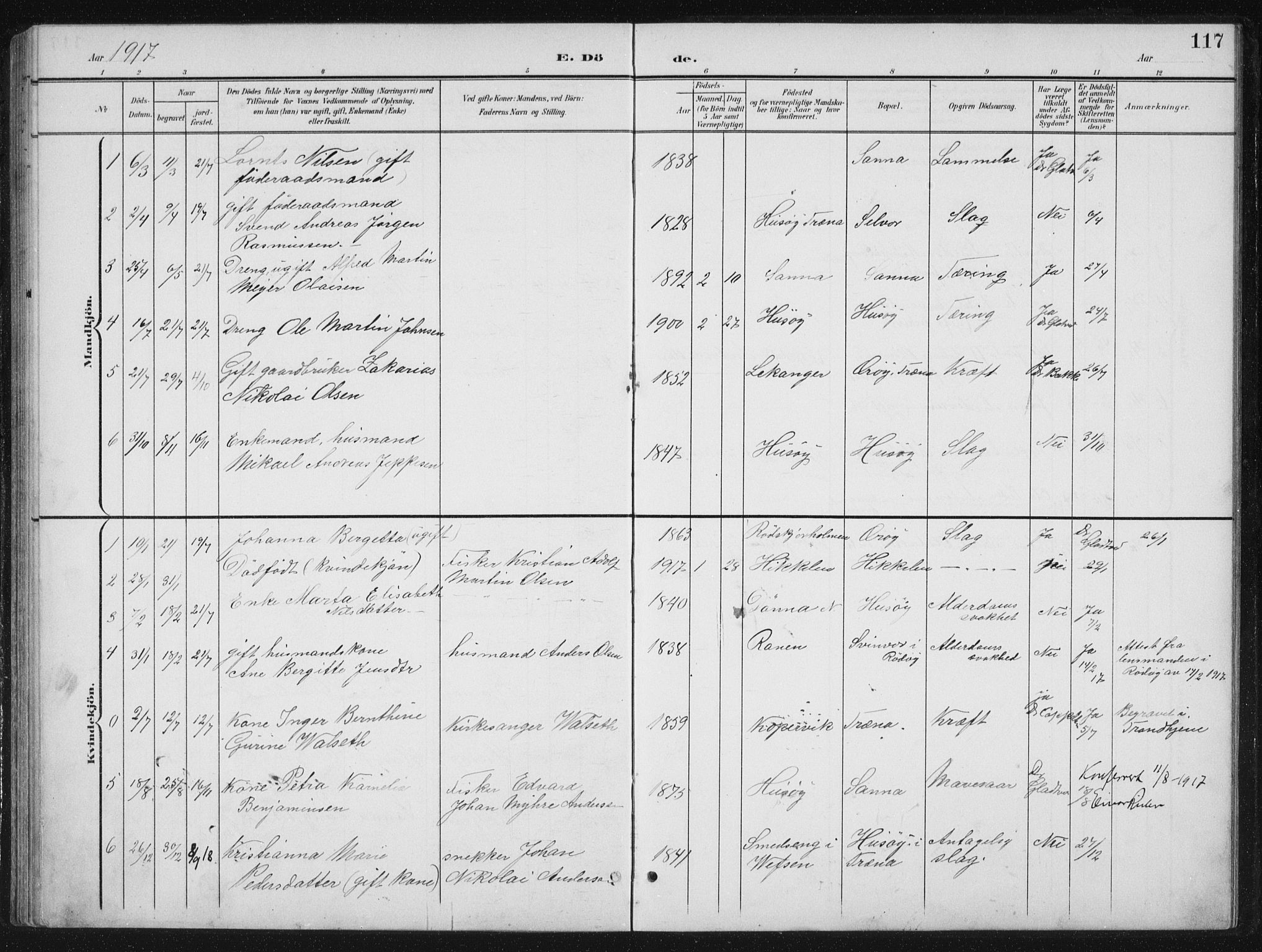 Ministerialprotokoller, klokkerbøker og fødselsregistre - Nordland, AV/SAT-A-1459/840/L0583: Parish register (copy) no. 840C03, 1901-1933, p. 117