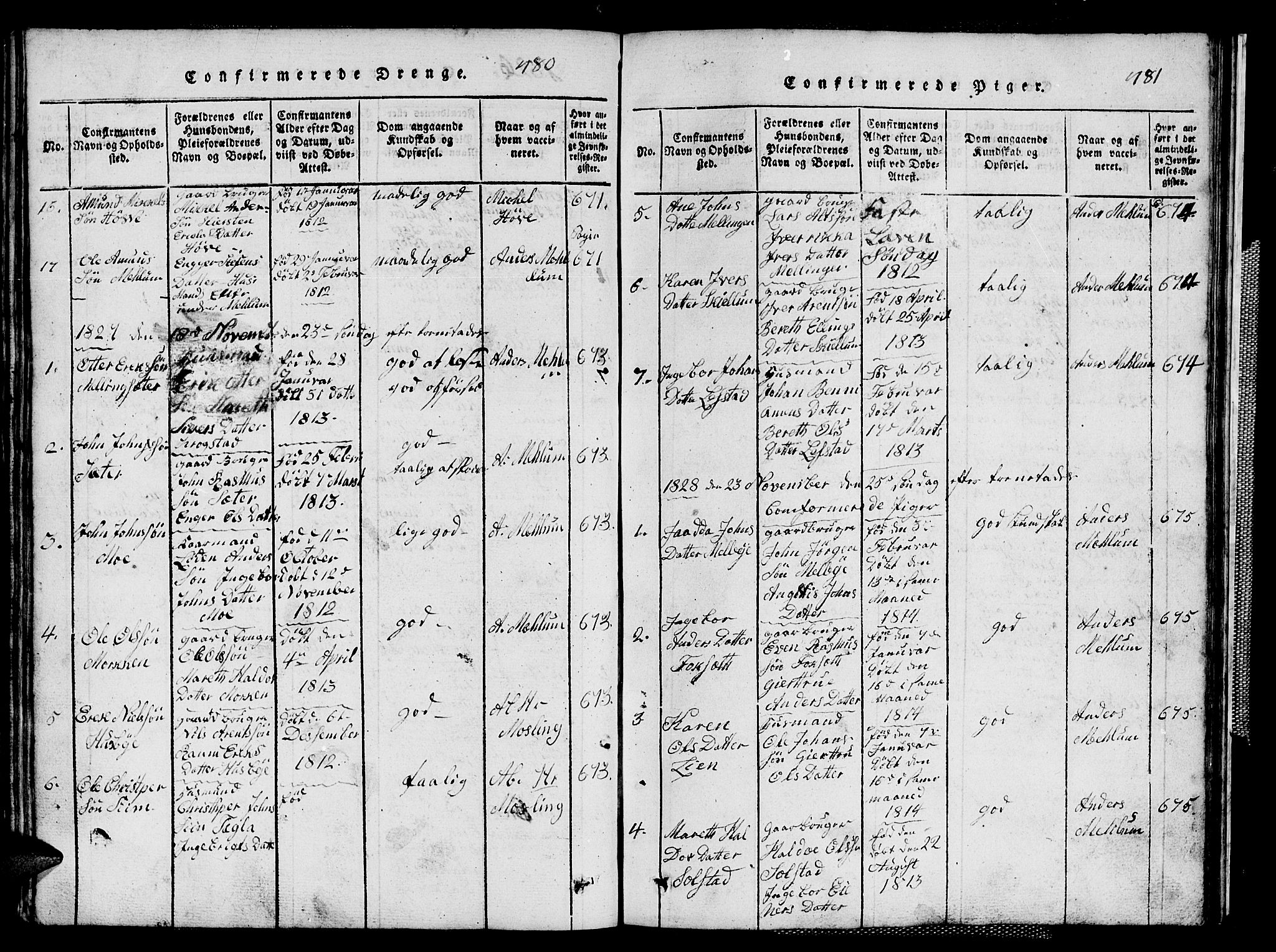 Ministerialprotokoller, klokkerbøker og fødselsregistre - Sør-Trøndelag, SAT/A-1456/667/L0796: Parish register (copy) no. 667C01, 1817-1836, p. 480-481