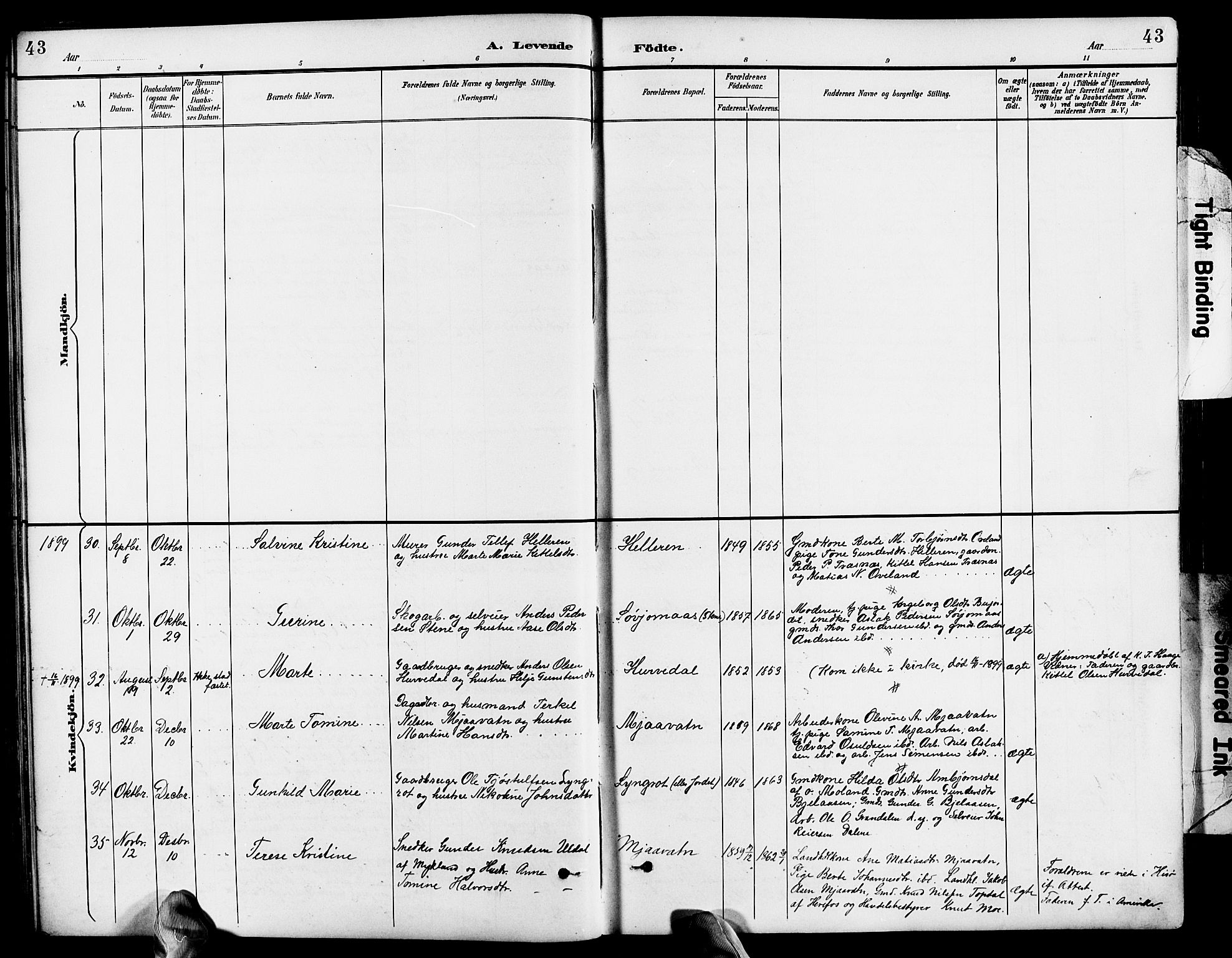 Froland sokneprestkontor, SAK/1111-0013/F/Fb/L0010: Parish register (copy) no. B 10, 1893-1920, p. 43