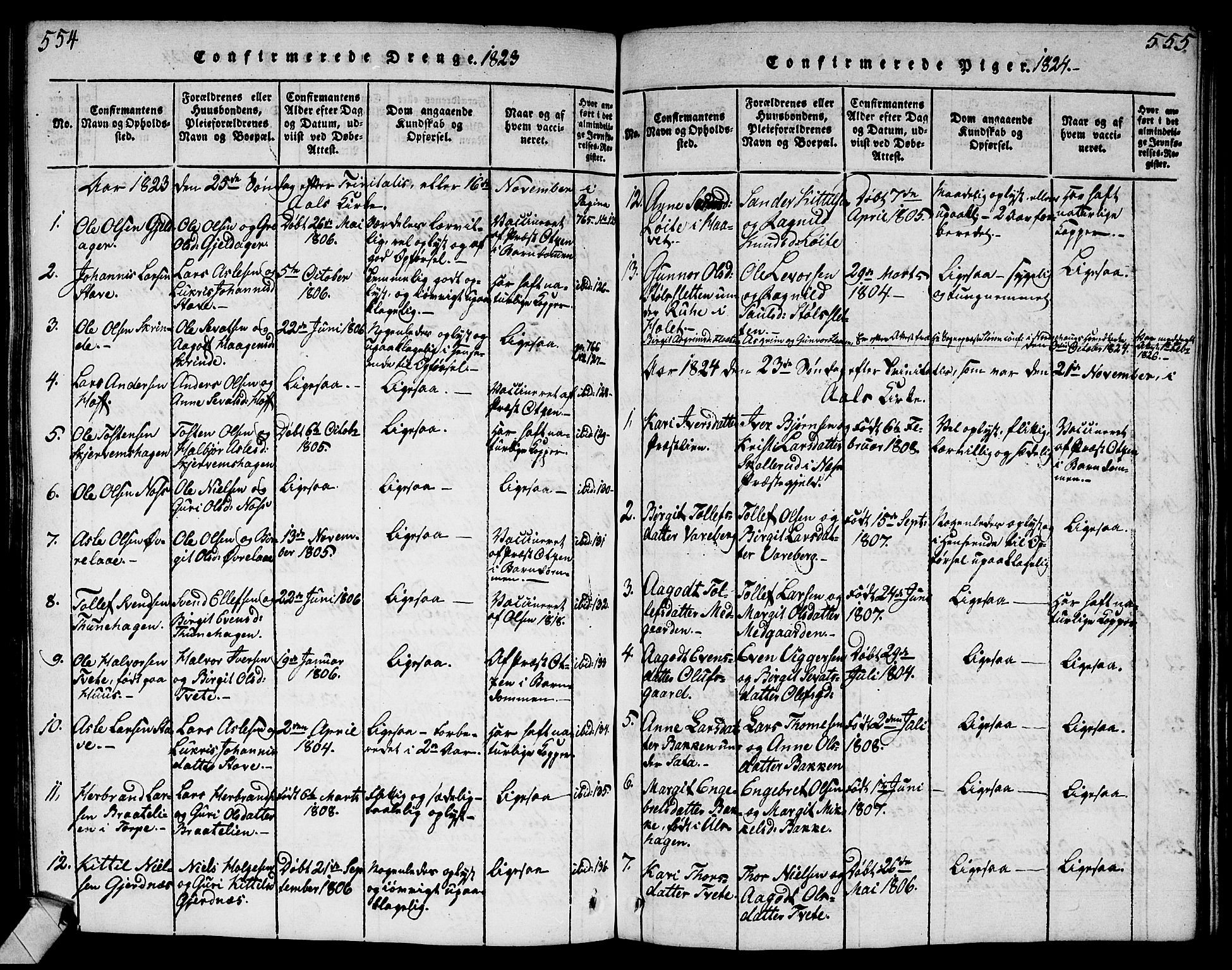 Ål kirkebøker, AV/SAKO-A-249/G/Ga/L0001: Parish register (copy) no. 1, 1815-1829, p. 554-555