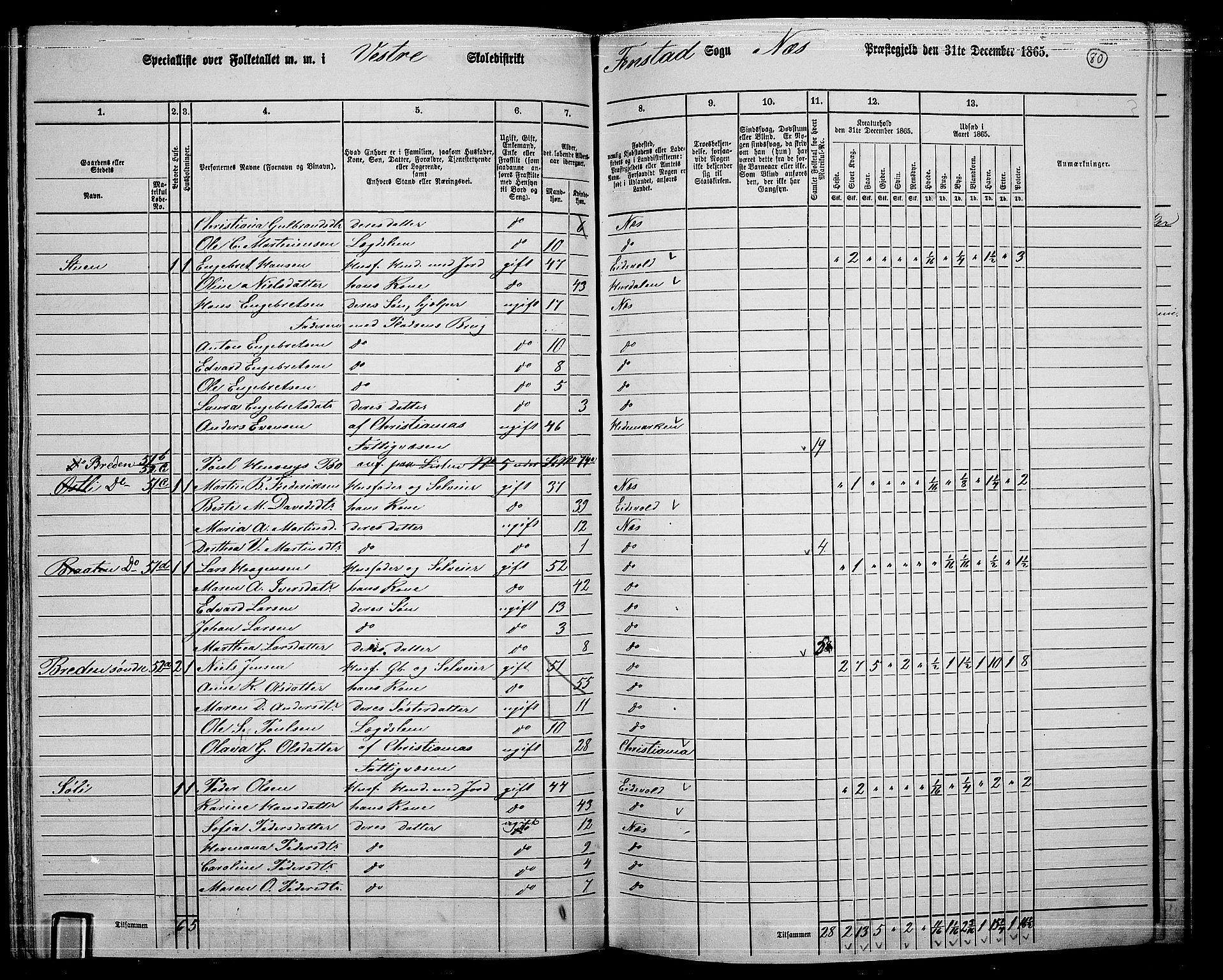 RA, 1865 census for Nes, 1865, p. 73