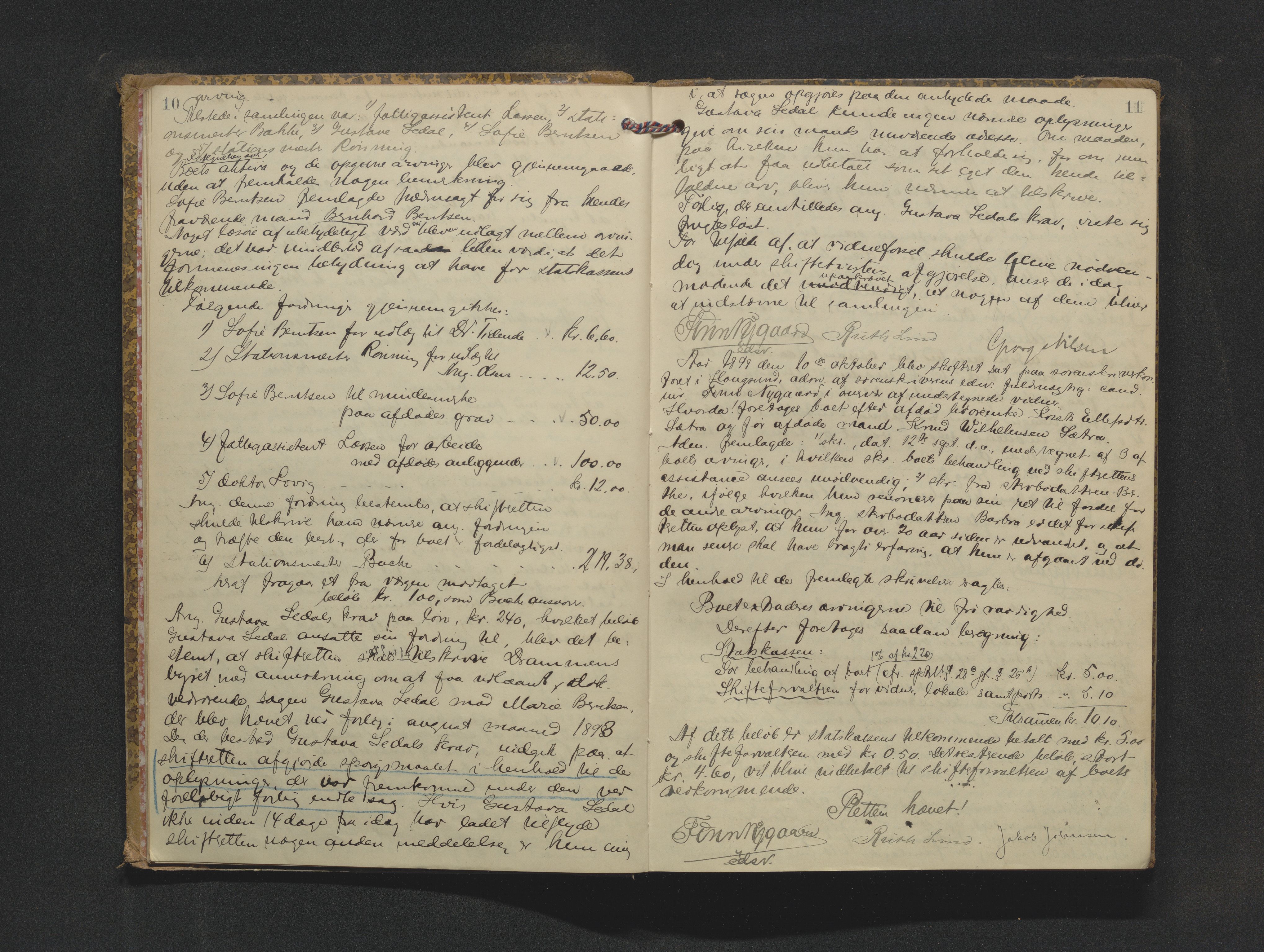 Eiker, Modum og Sigdal sorenskriveri, AV/SAKO-A-123/H/Hb/Hbb/Hbbd/L0005: Registrerings- og forhandlingsprotokoll, 1898-1908, p. 10-11