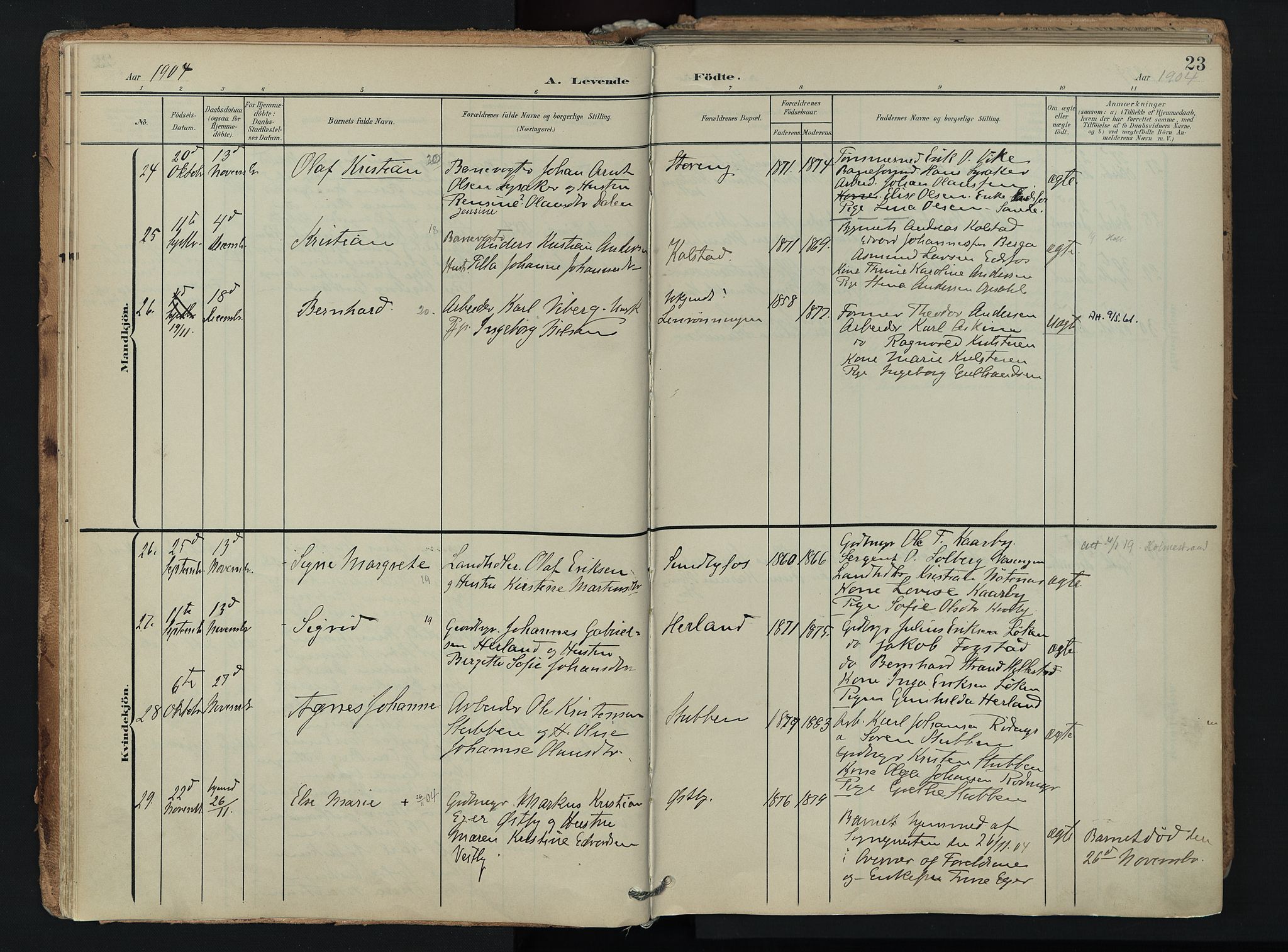 Hof kirkebøker, AV/SAKO-A-64/F/Fa/L0008: Parish register (official) no. I 8, 1902-1921, p. 23