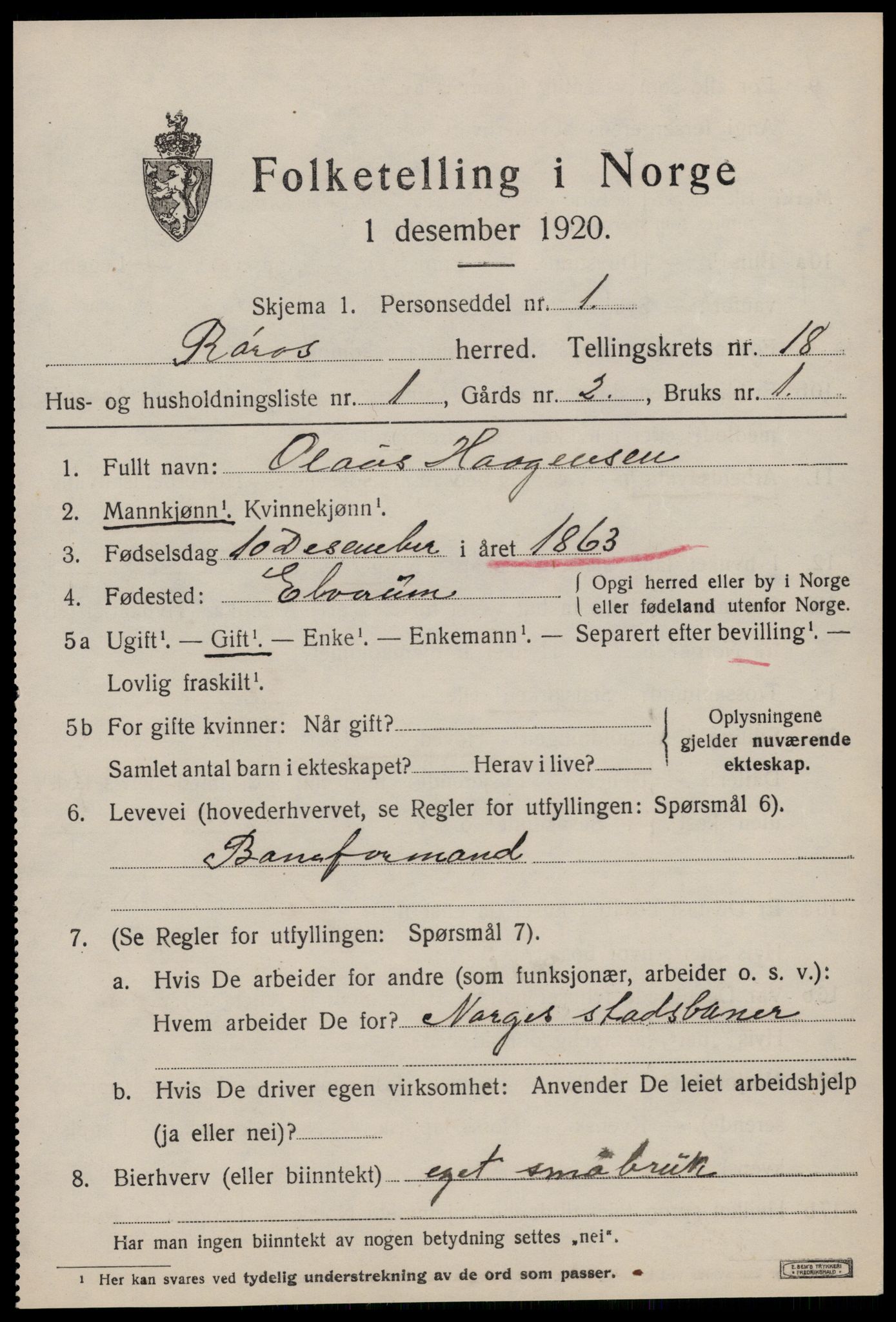 SAT, 1920 census for Røros, 1920, p. 12244