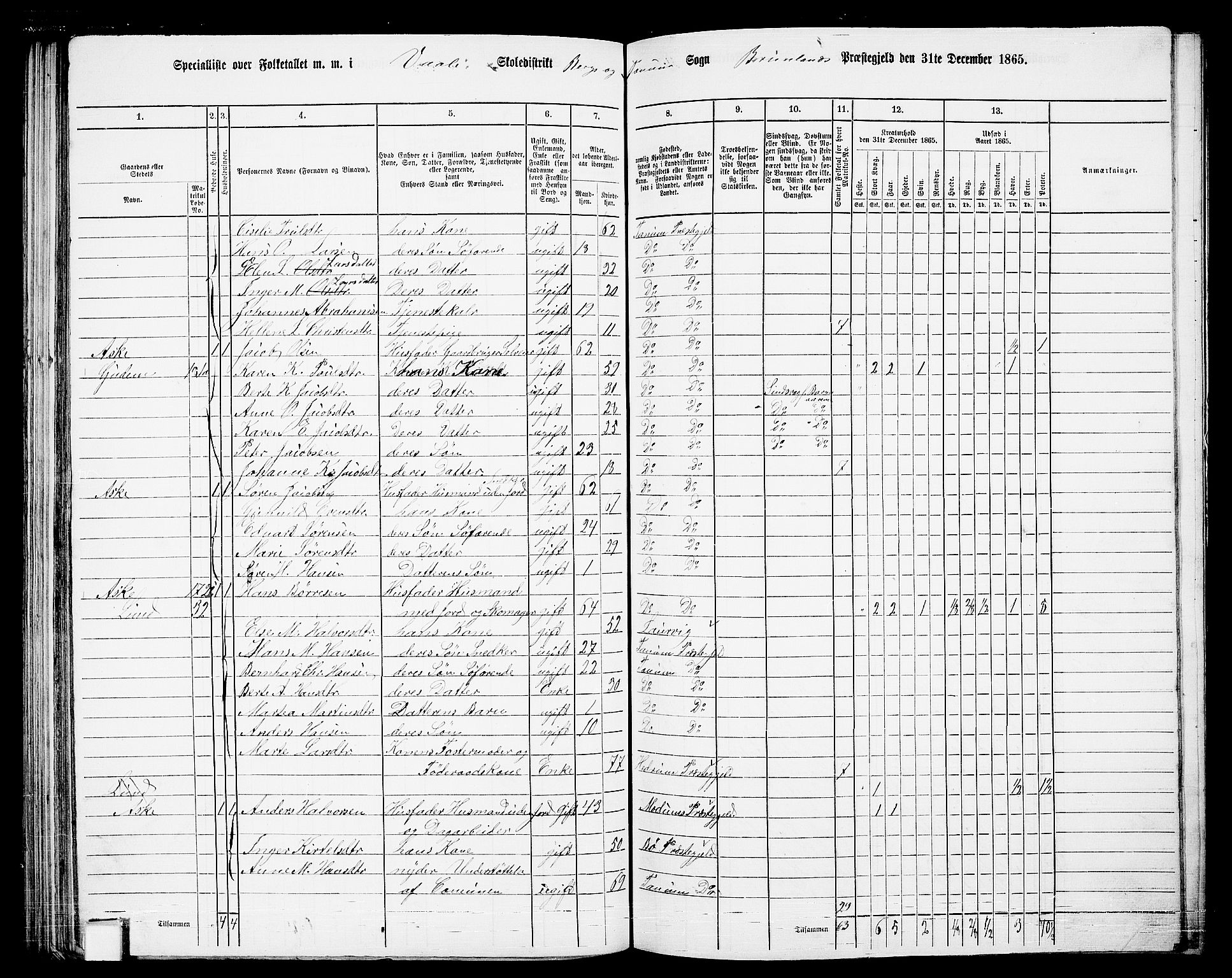 RA, 1865 census for Brunlanes, 1865, p. 117