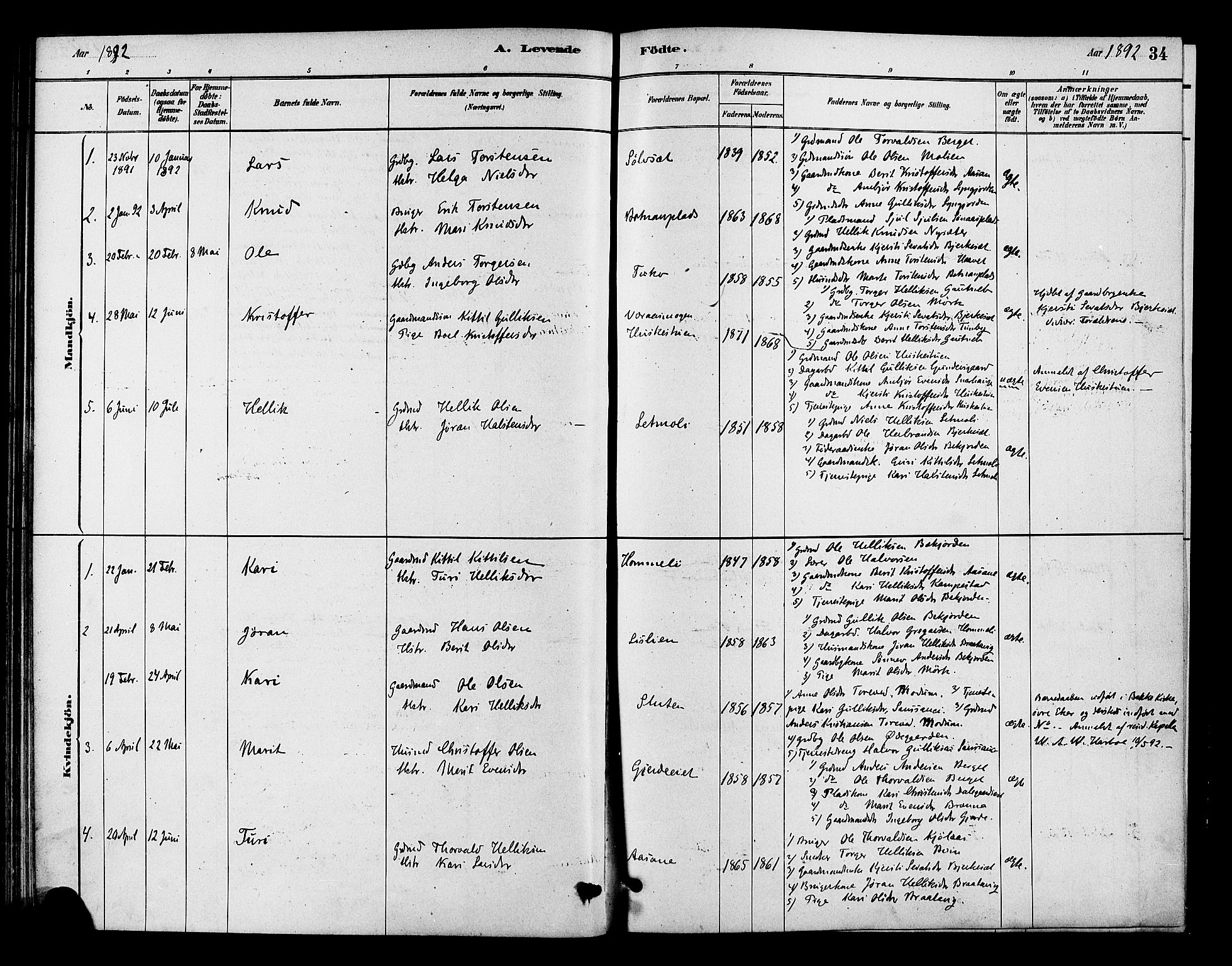 Flesberg kirkebøker, SAKO/A-18/F/Fc/L0001: Parish register (official) no. III 1, 1879-1905, p. 34