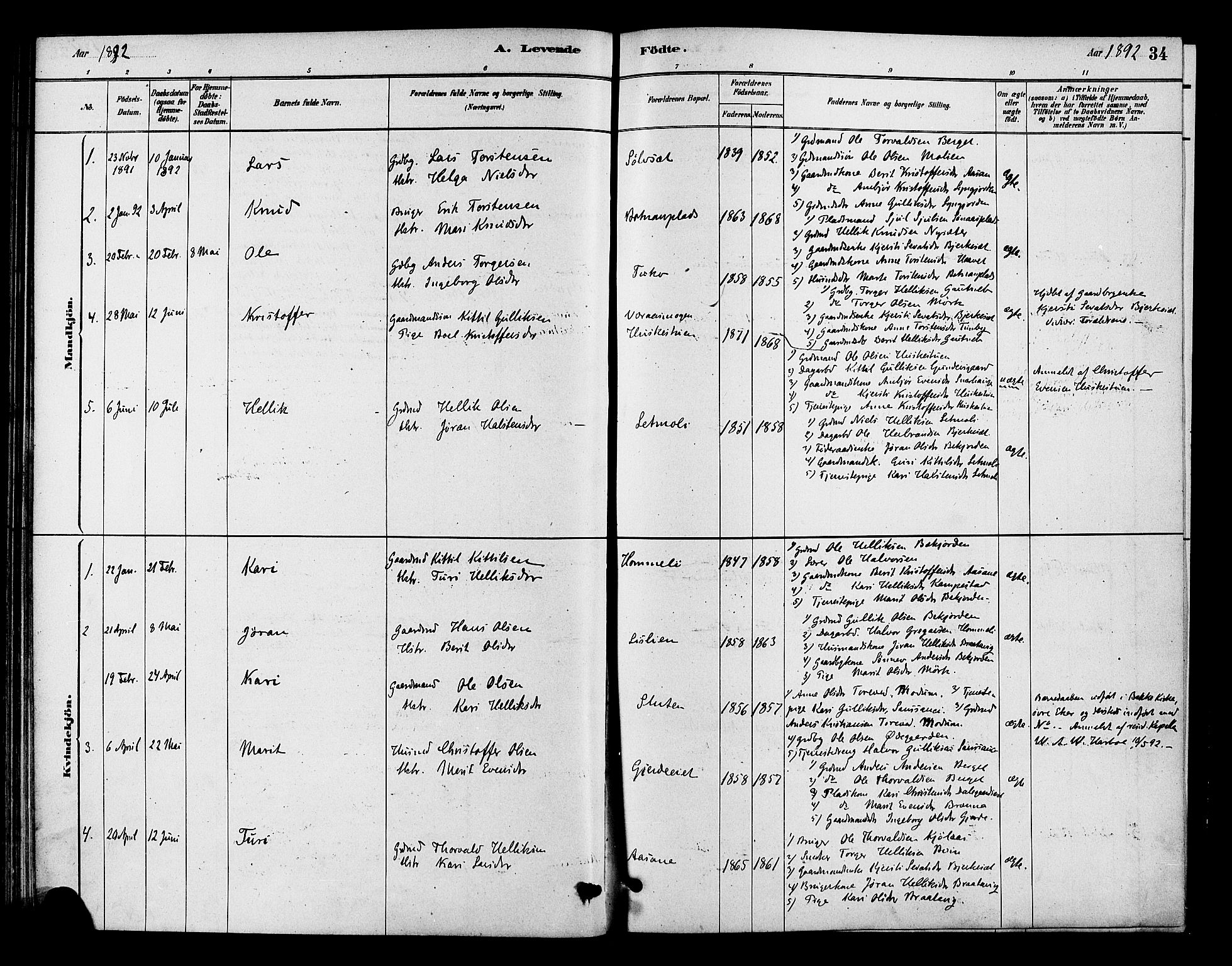 Flesberg kirkebøker, AV/SAKO-A-18/F/Fc/L0001: Parish register (official) no. III 1, 1879-1905, p. 34