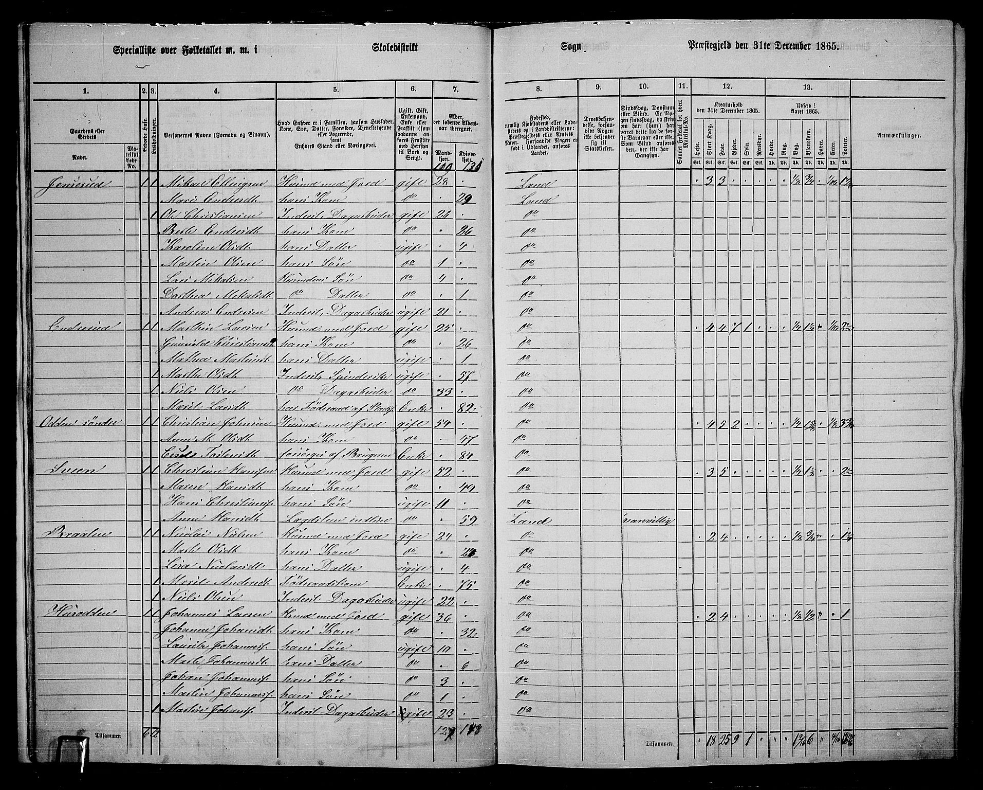 RA, 1865 census for Land, 1865, p. 225