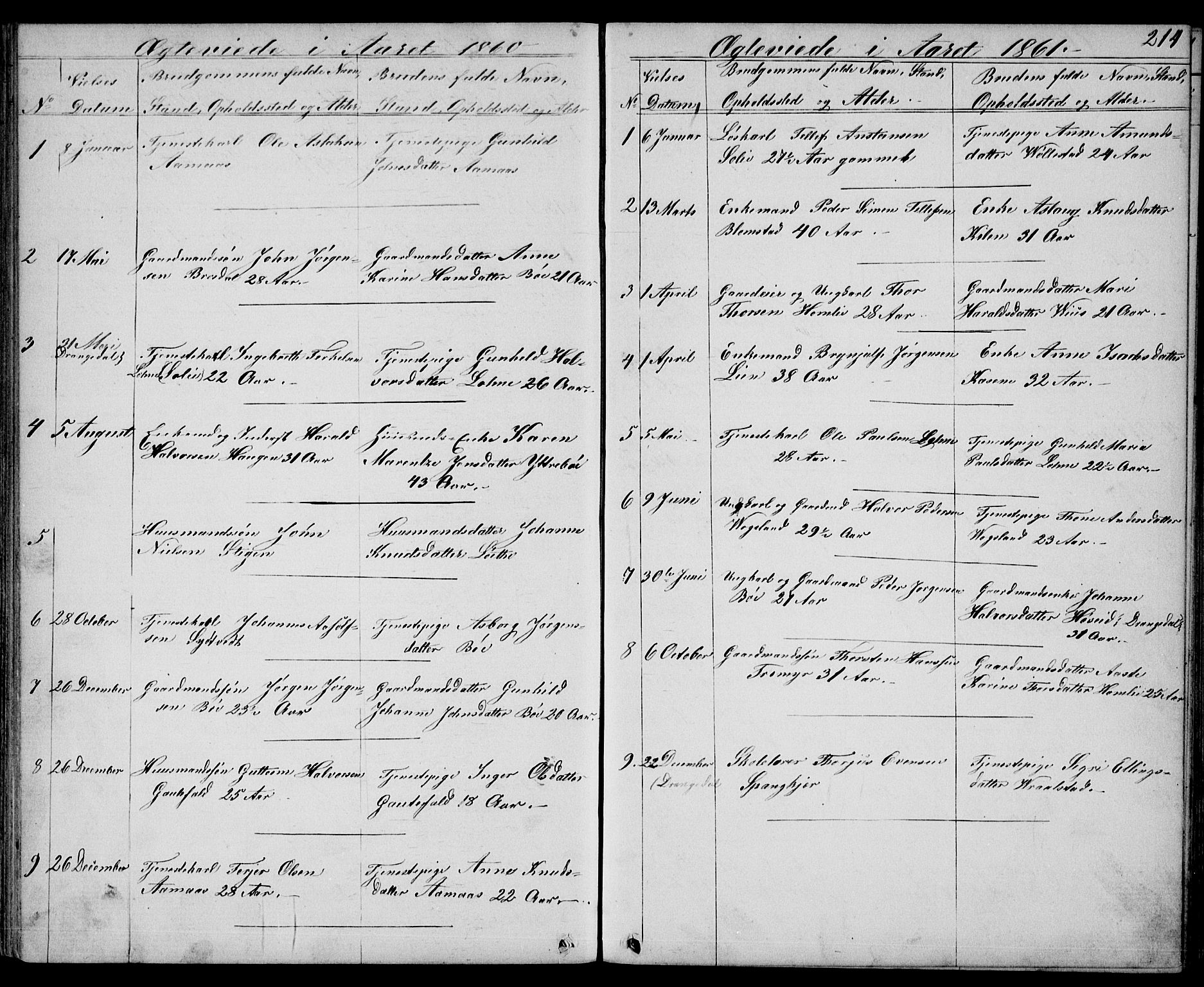 Drangedal kirkebøker, AV/SAKO-A-258/G/Gb/L0001: Parish register (copy) no. II 1, 1856-1894, p. 214
