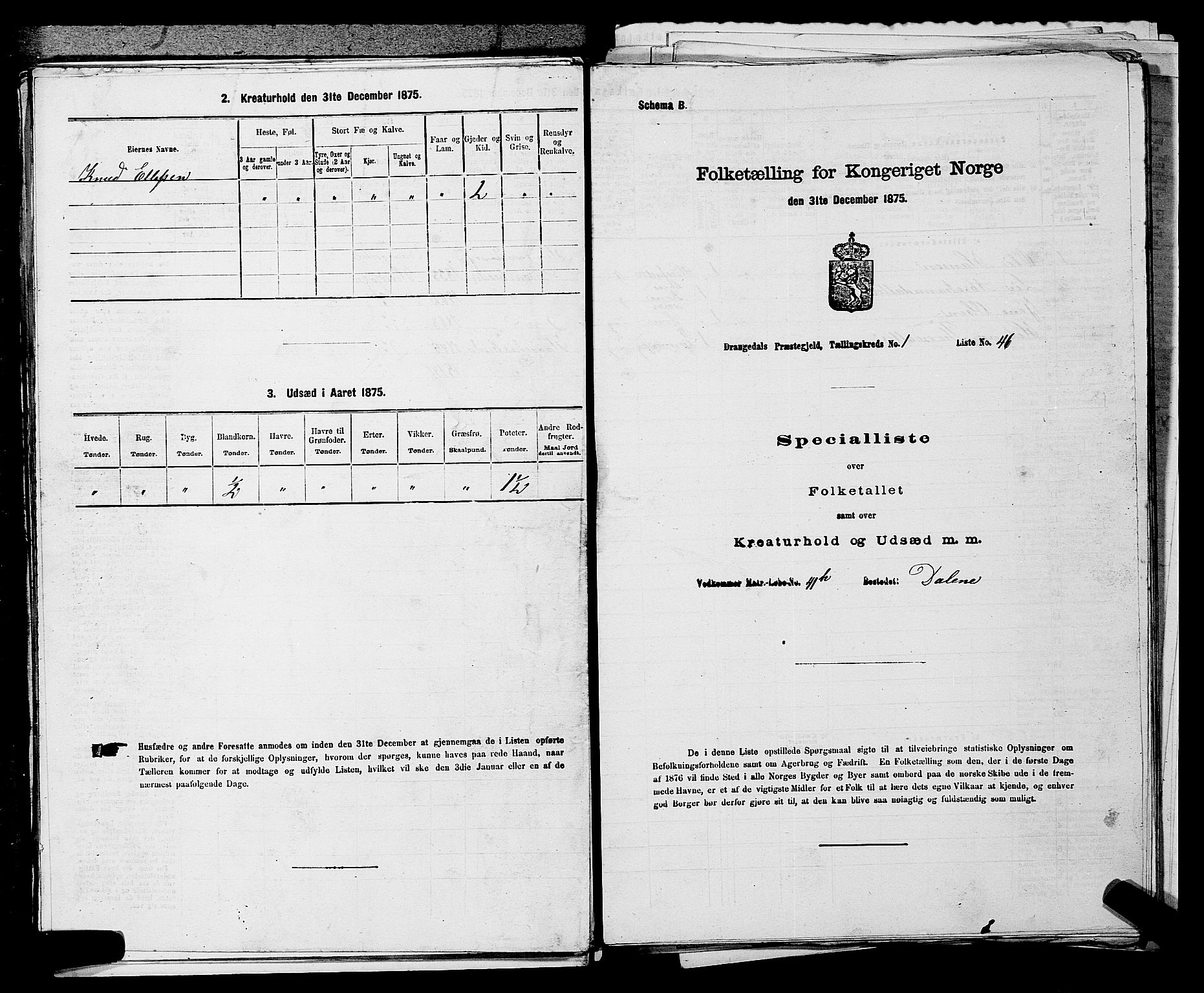 SAKO, 1875 census for 0817P Drangedal, 1875, p. 147