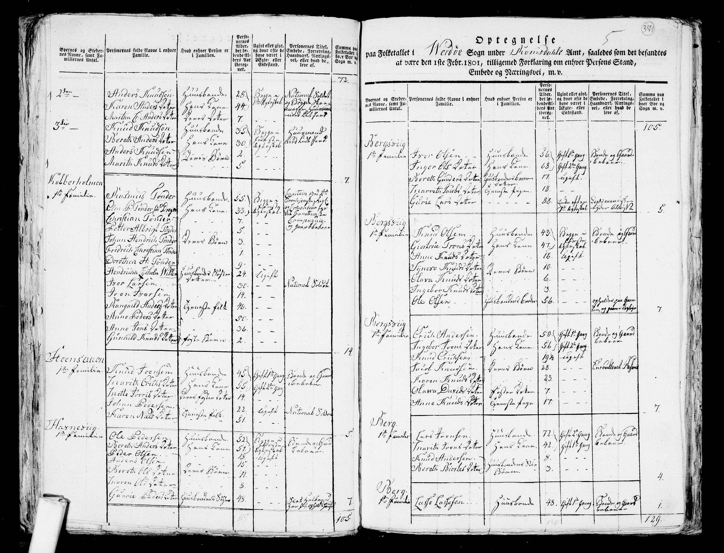 RA, 1801 census for 1541P Veøy, 1801, p. 370b-371a
