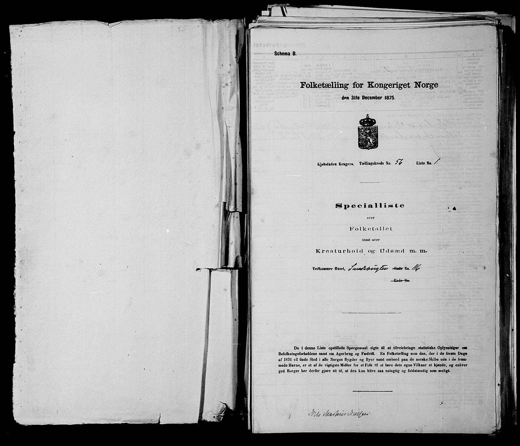 SAKO, 1875 census for 0801P Kragerø, 1875, p. 1237